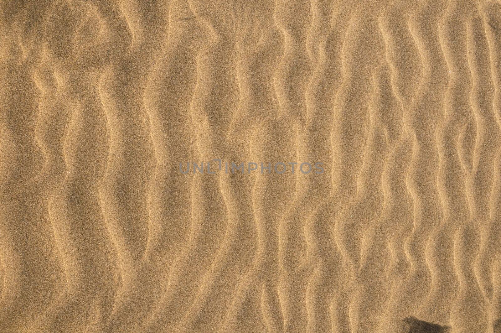 Texture Sand Dune Desert in Gran Canaria Island Spain