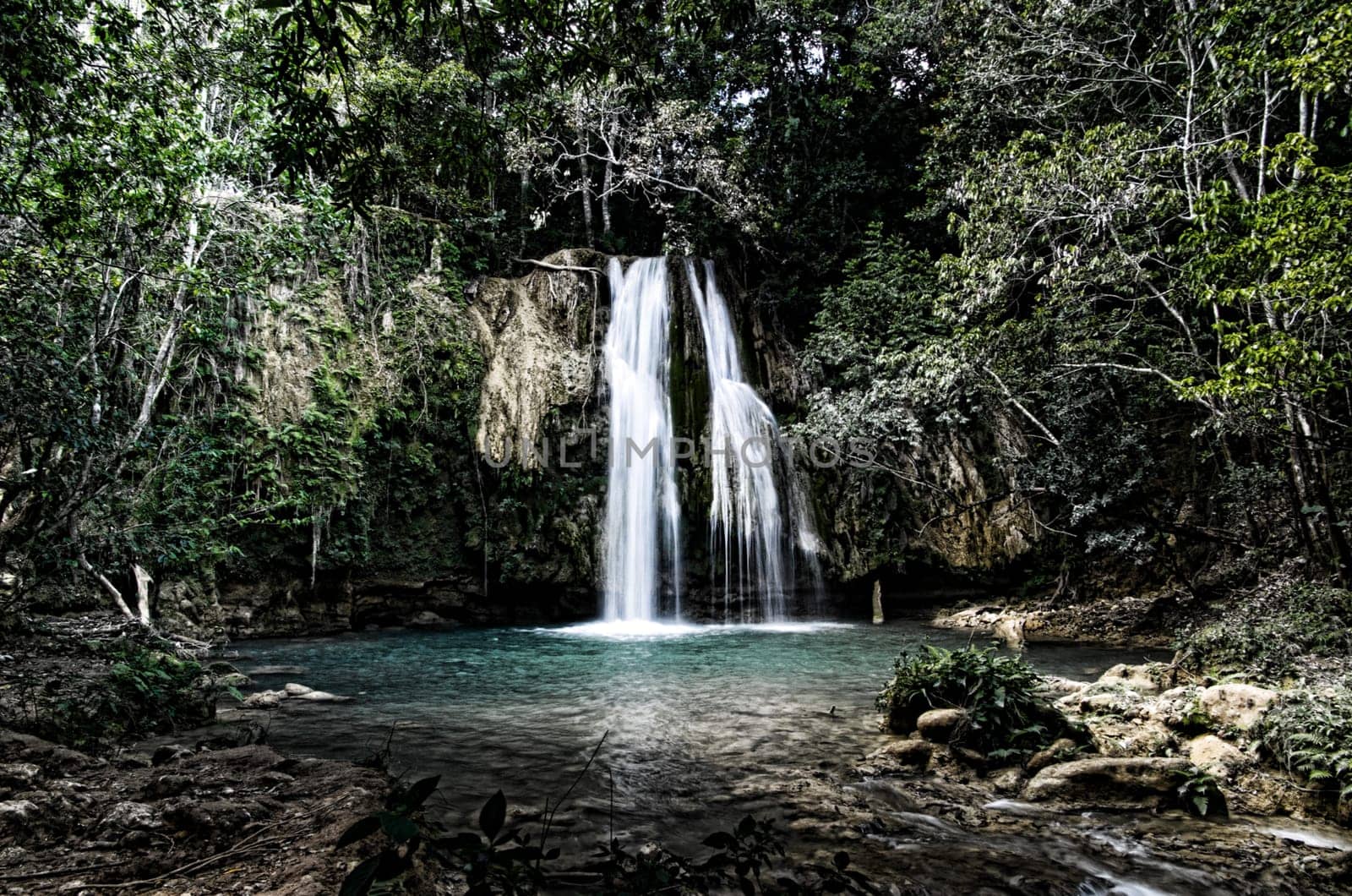 waterfall in deep green forest