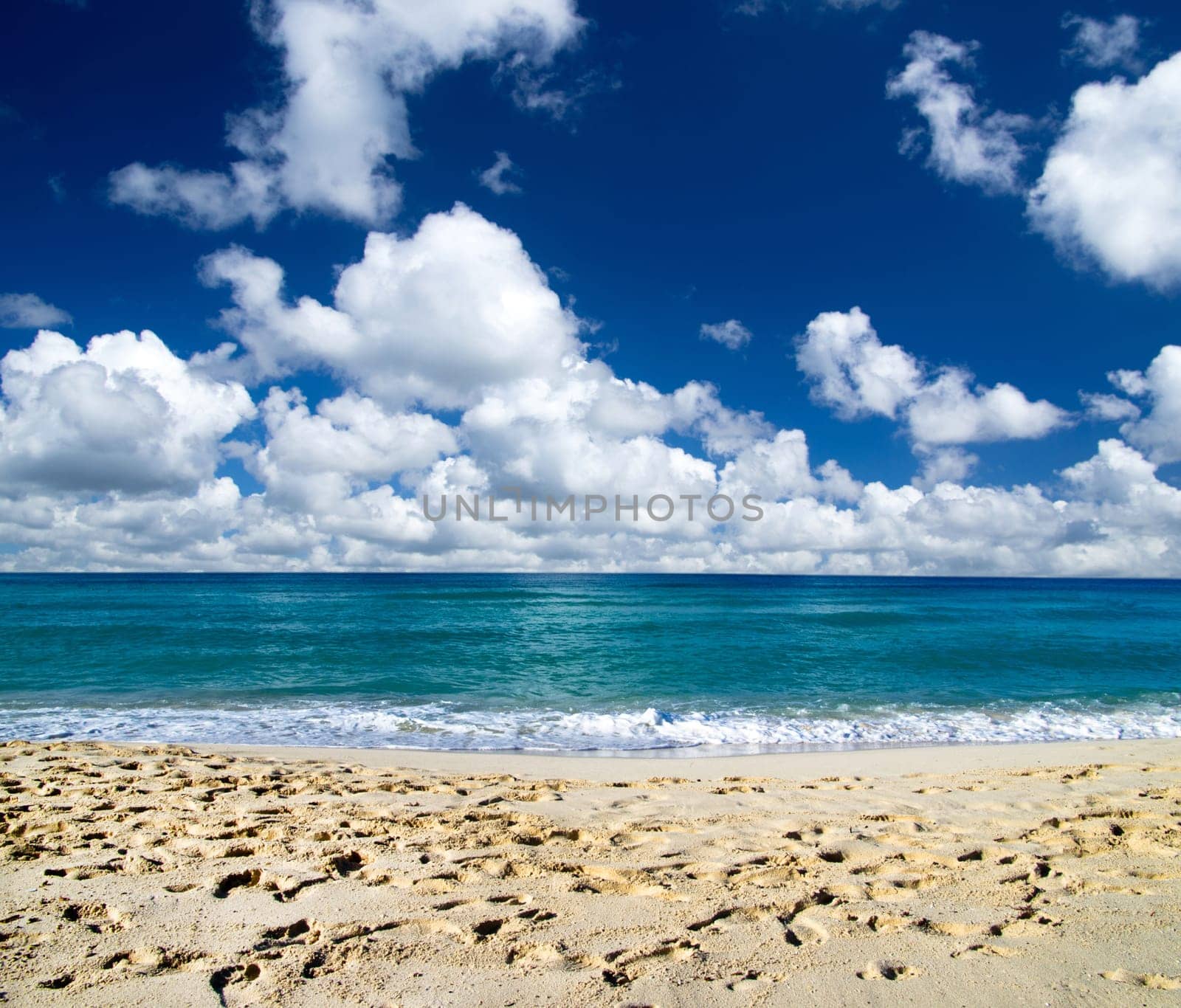 beautiful beach and tropical sea