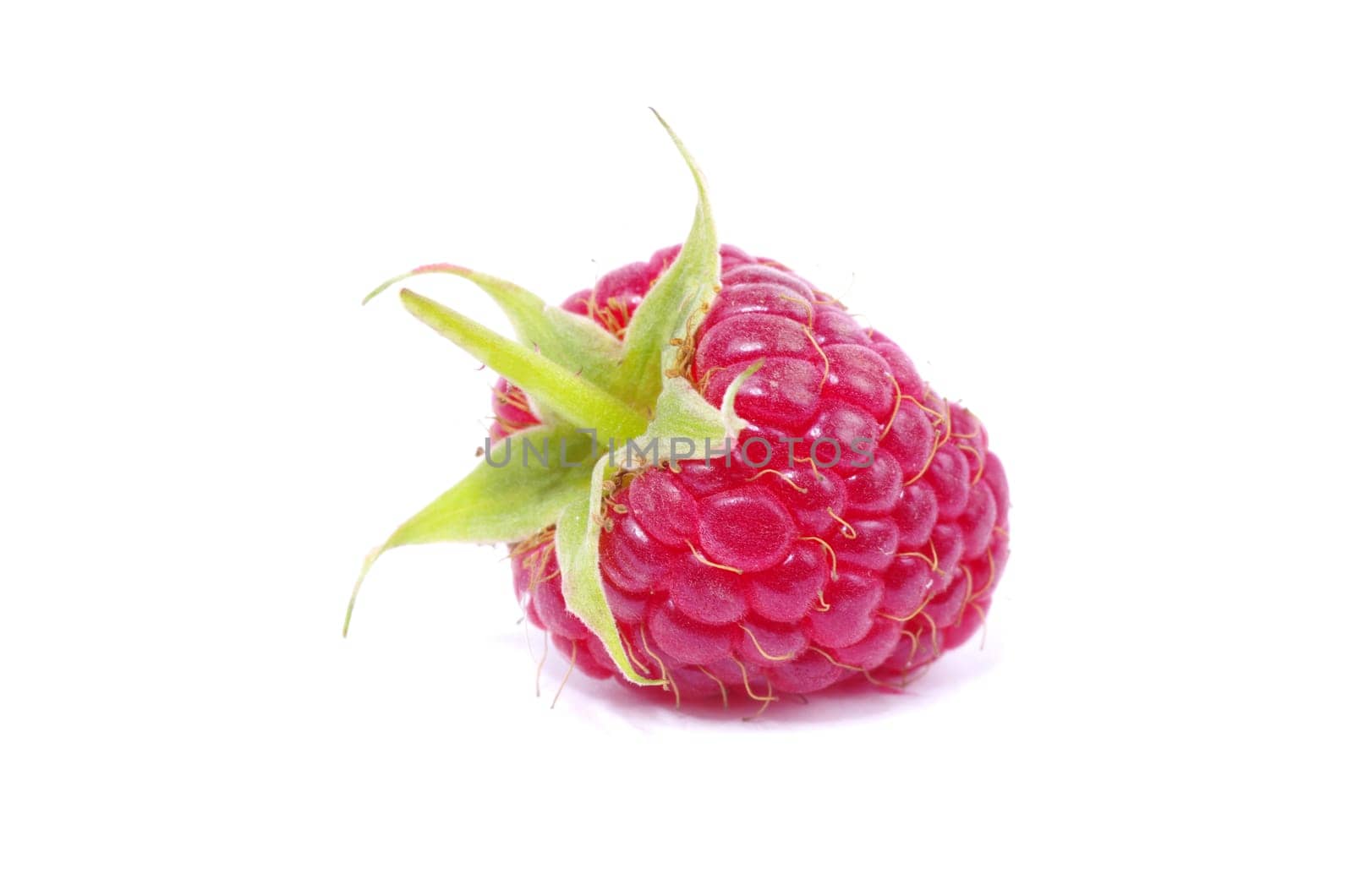 fresh raspberry closeup isolated on white background