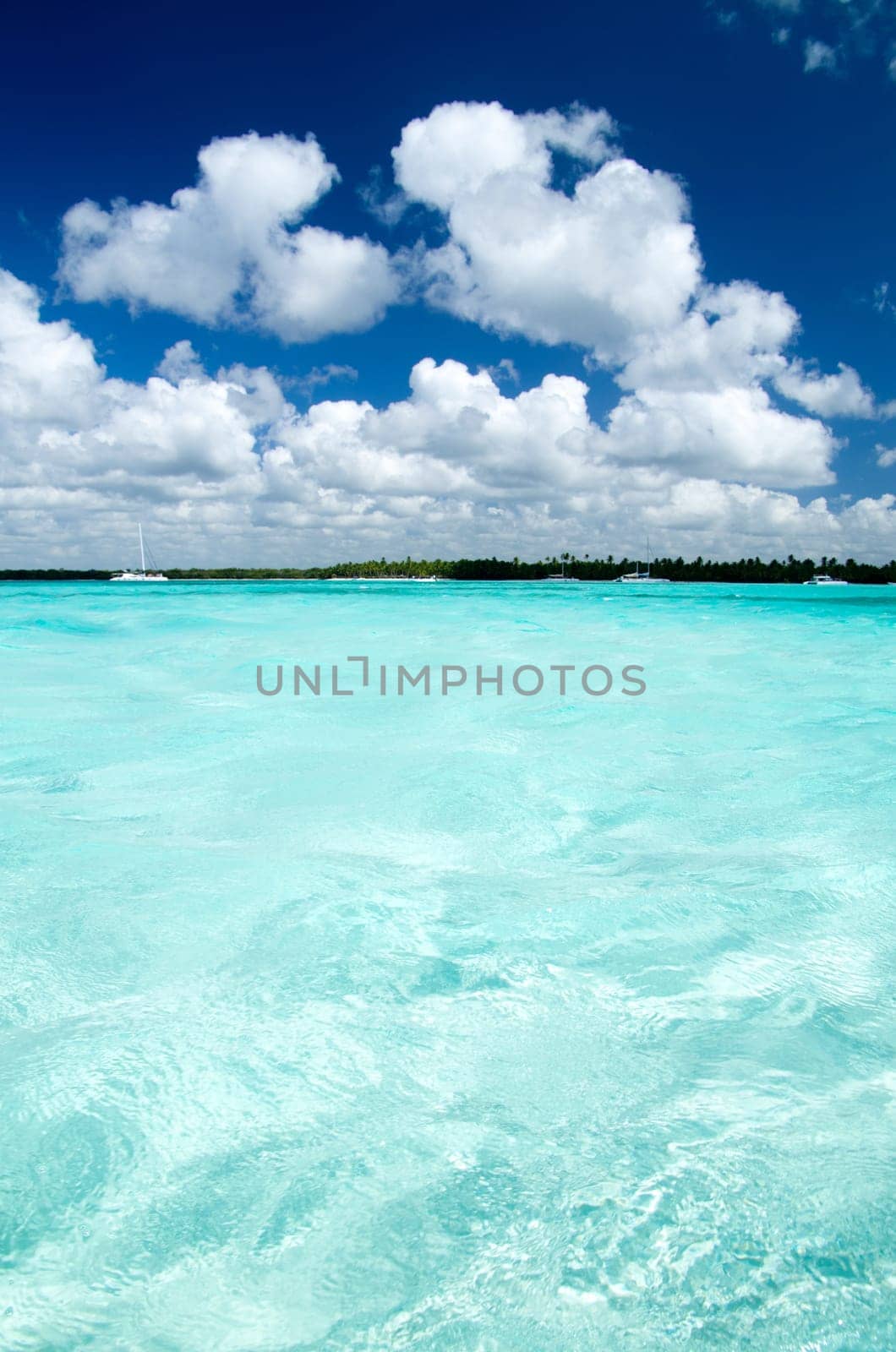 tropical sea under the blue sky