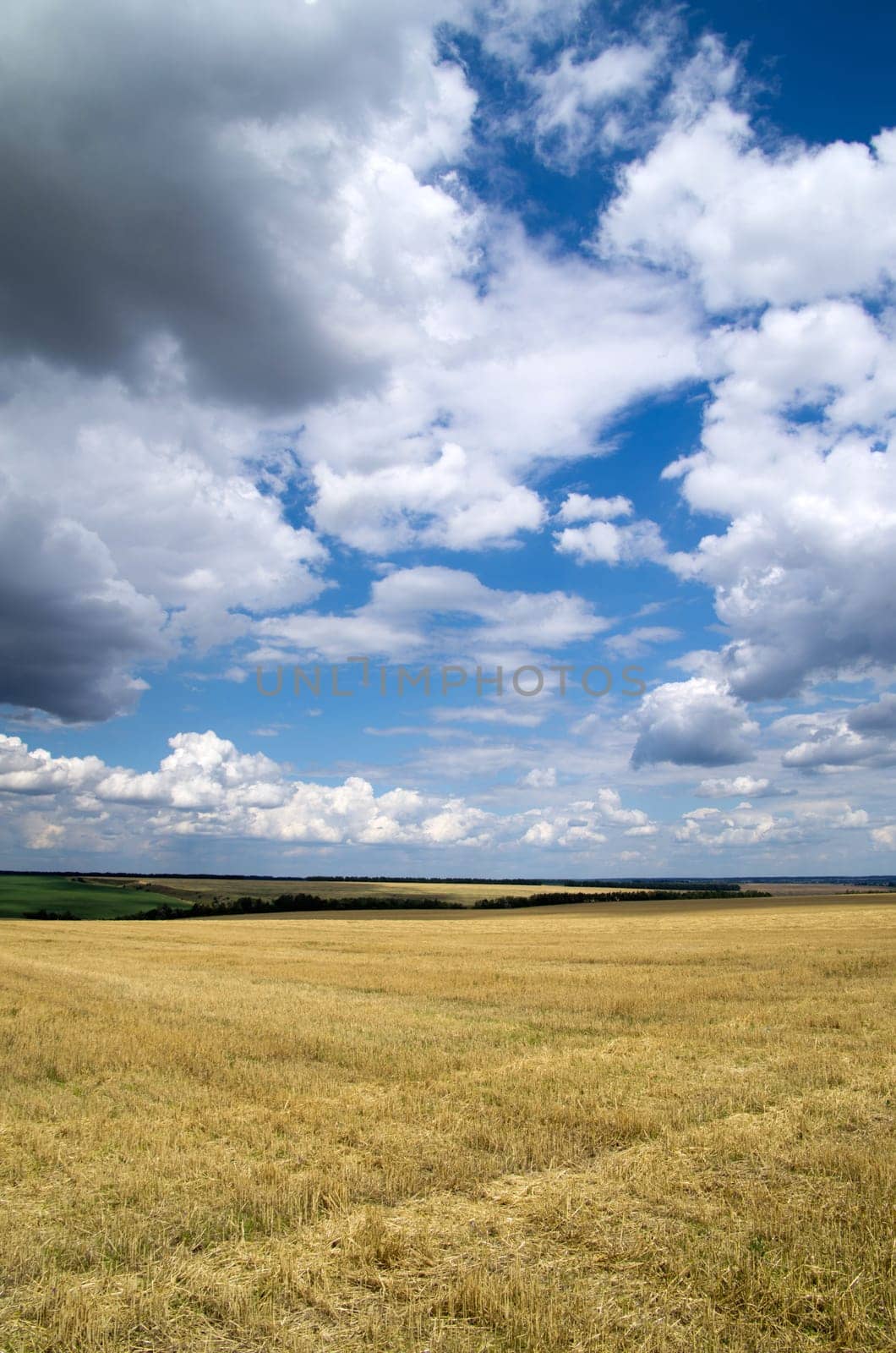 field and the beautiful blue sky