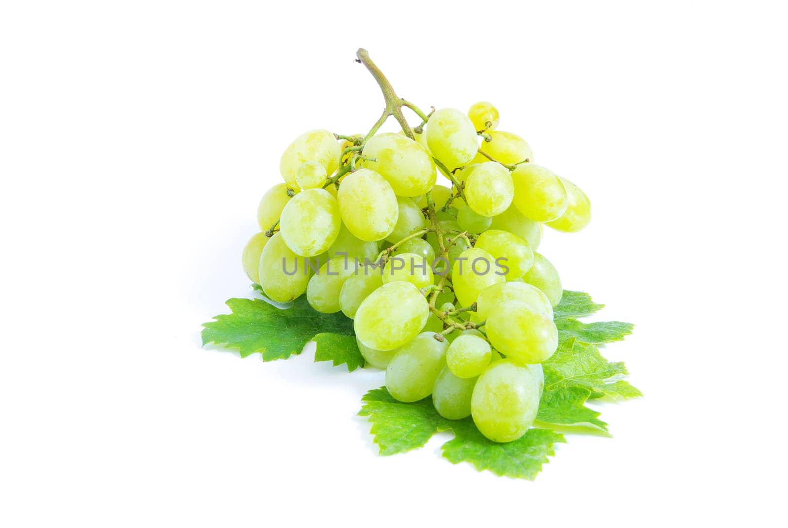 fresh grapes on white background