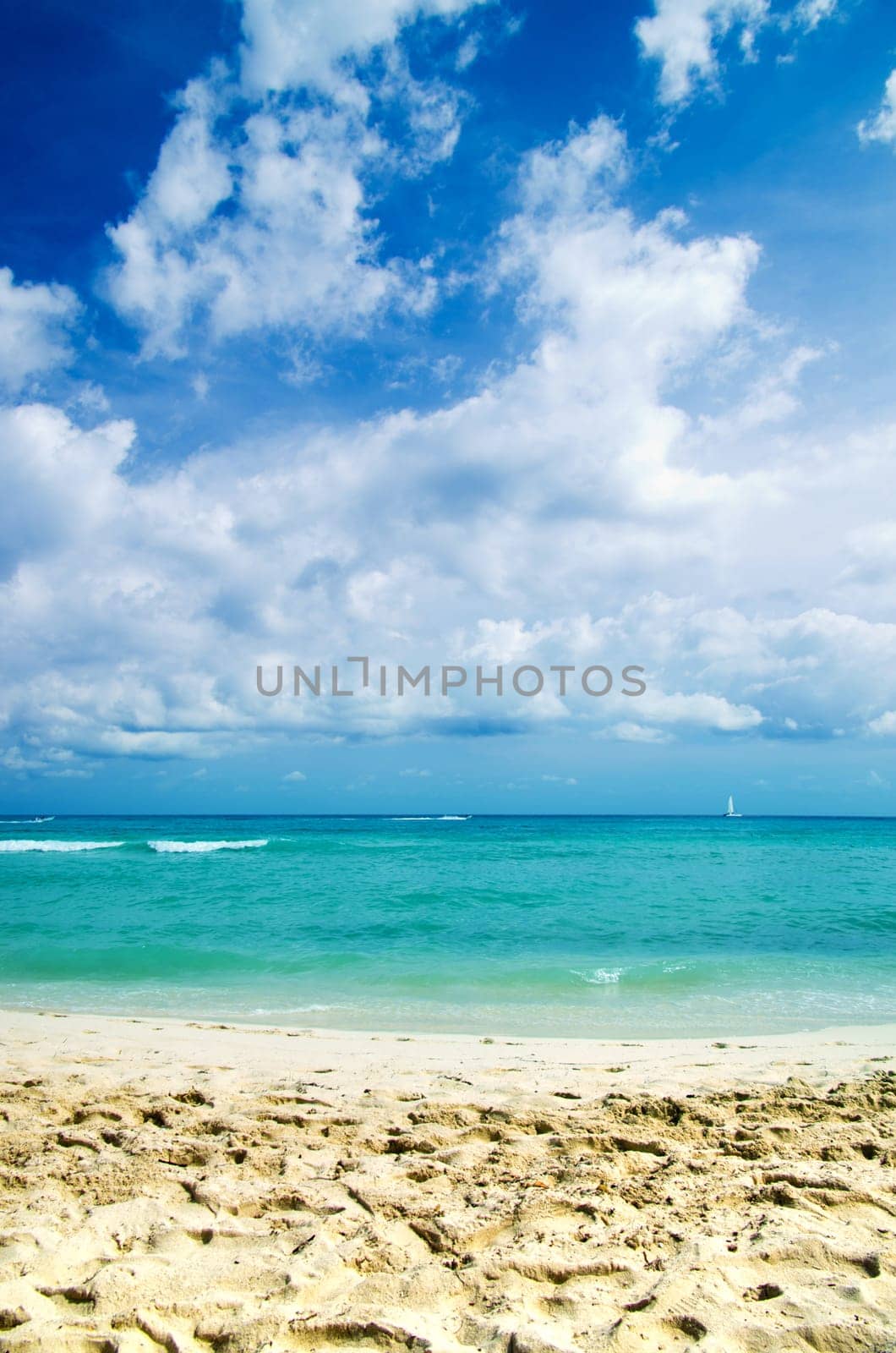 tropical sea under the blue sky