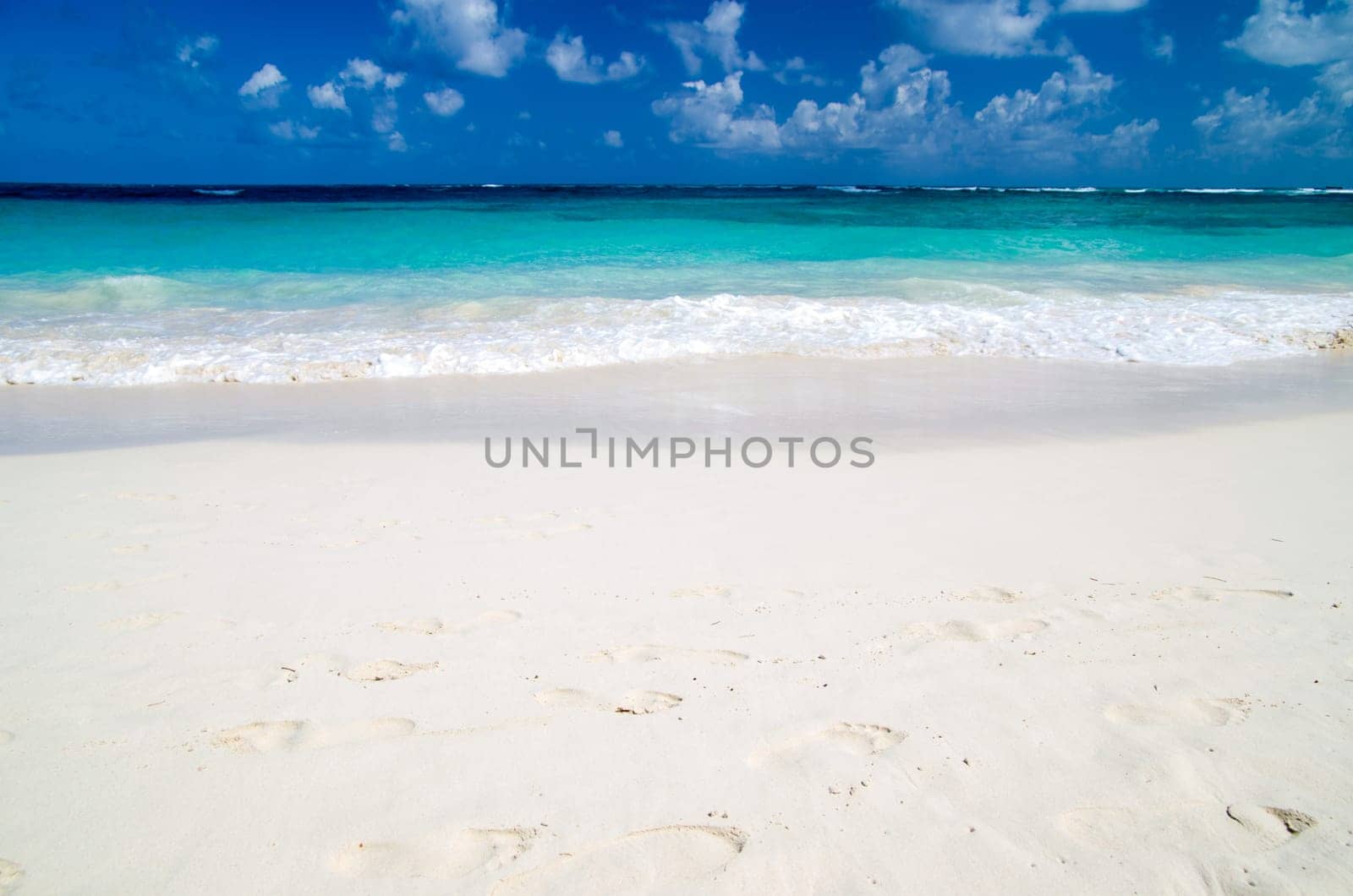 Caribbean clear beach and tropical sea