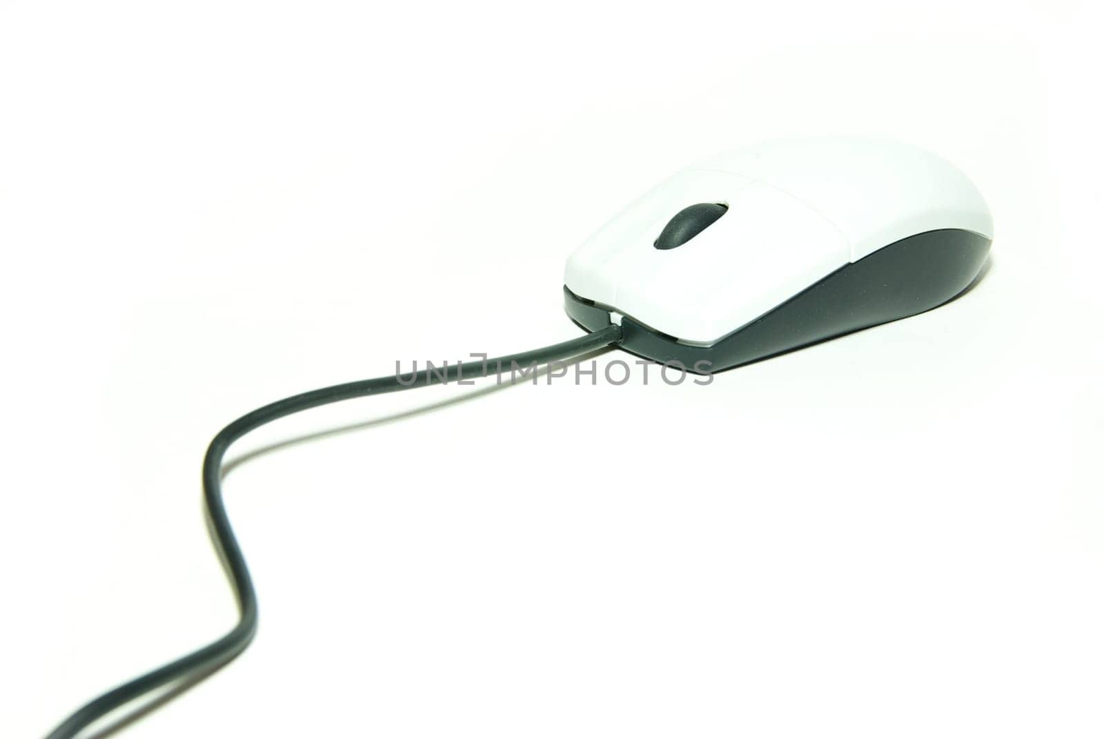 computer mouse isolated on white background