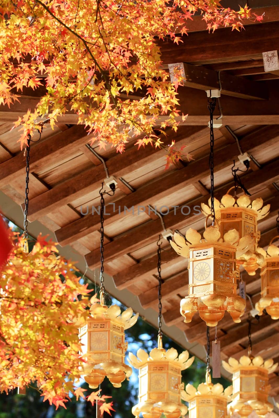 Otsu, Shiga Prefecture, Japan - November 22, 2013: Kojyoin Tsukimido in Achi village, Nagano, Japan