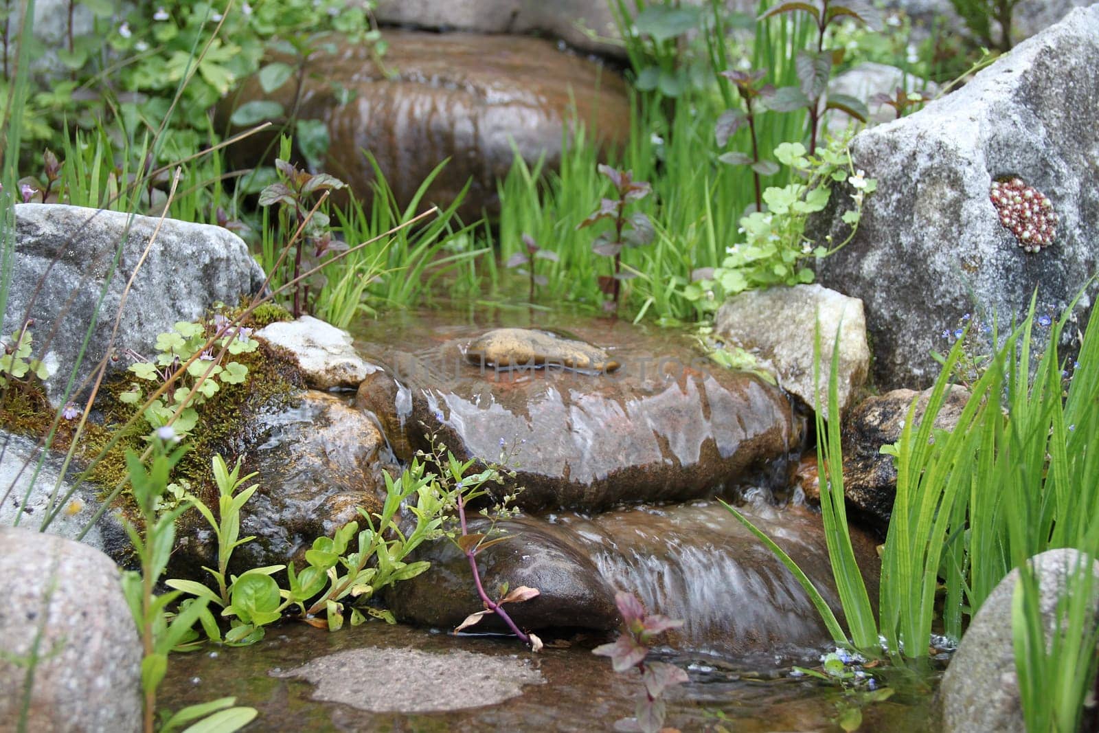 Stream course at the garden pond