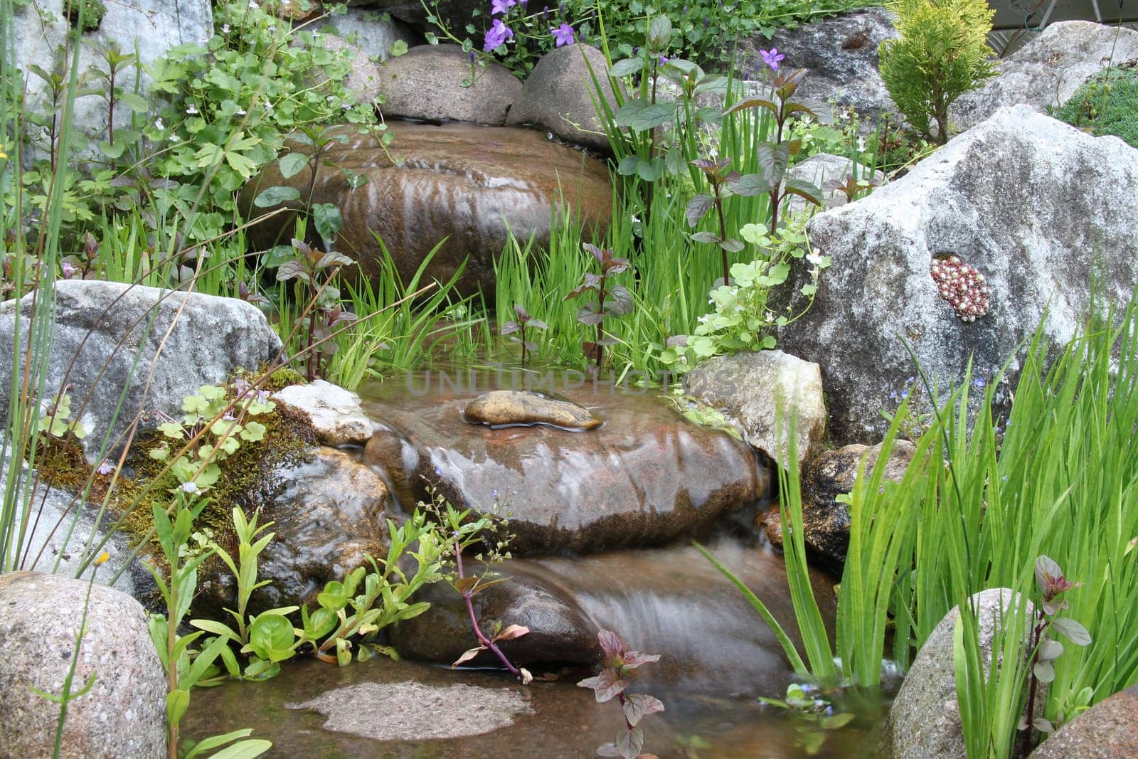 Stream course at the garden pond