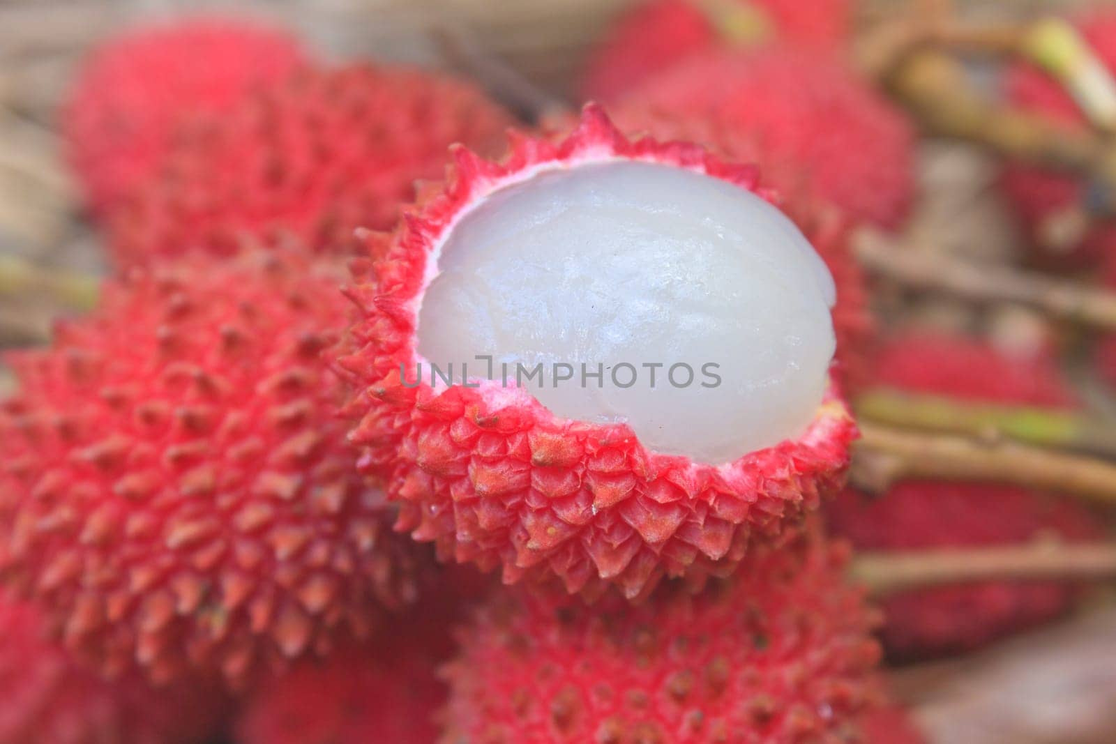 wild fruit from forest, wild lychee or Nephelium hypoleucum