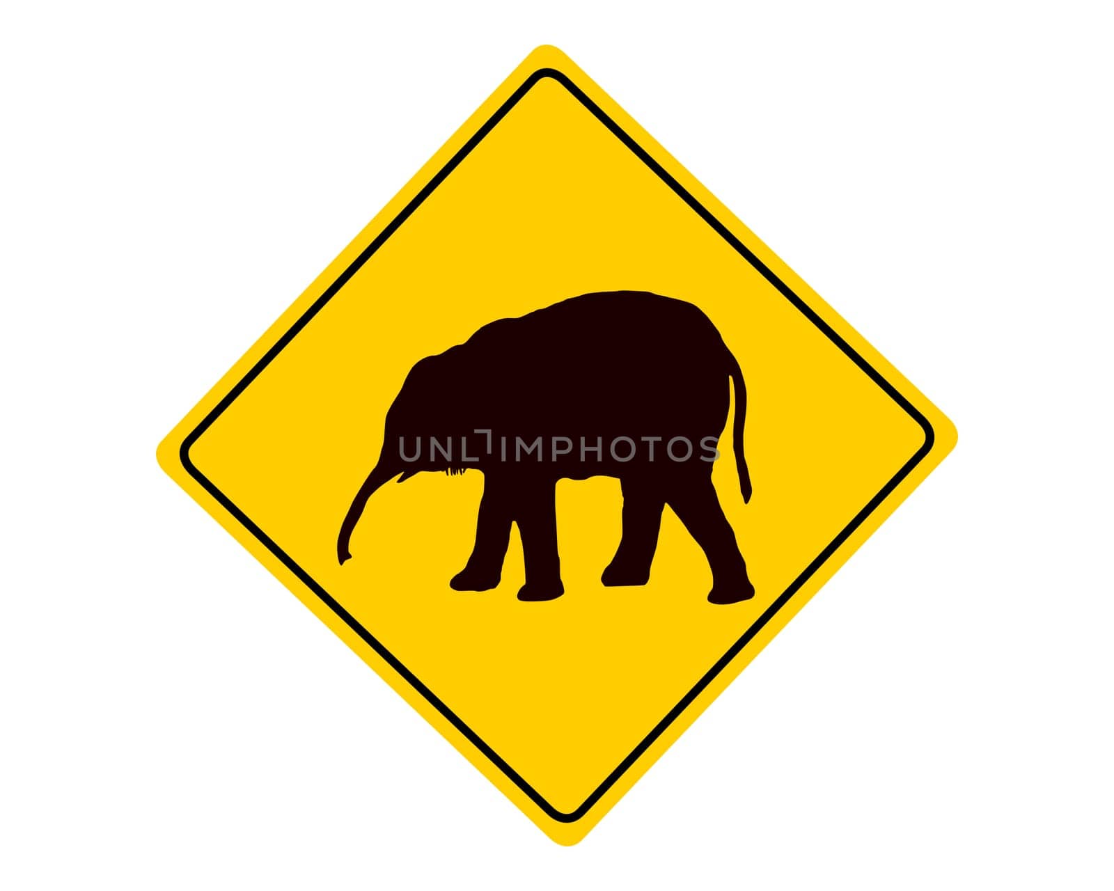 Attention Dumbo