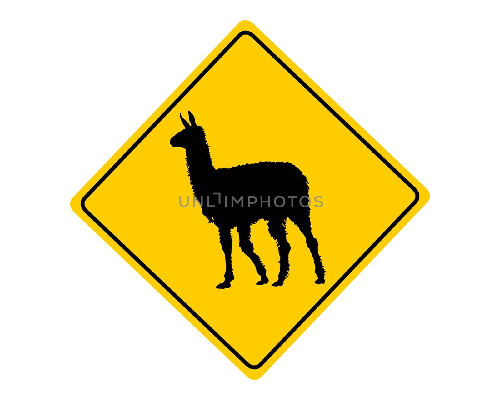 Attention Lama