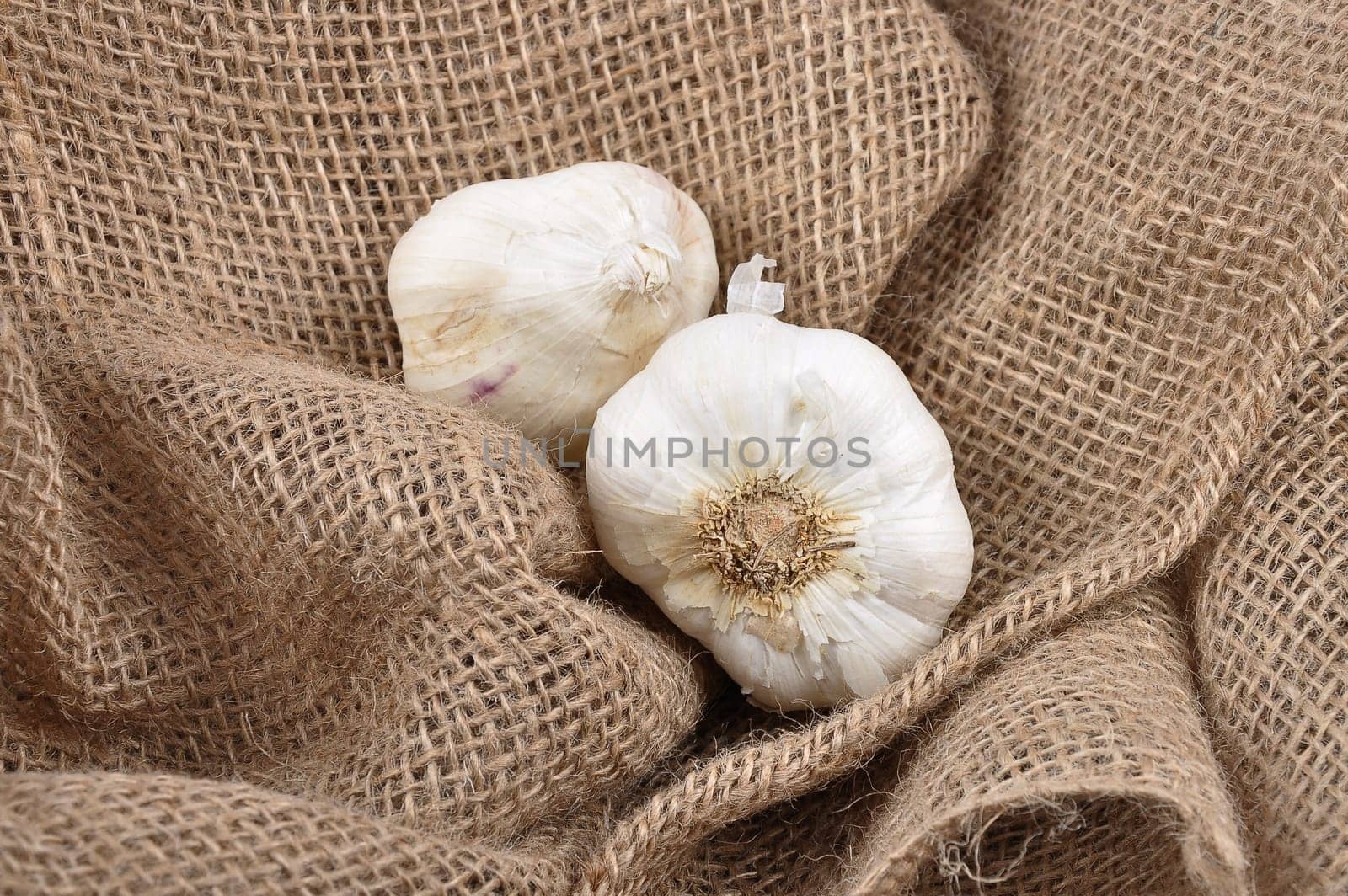 Garlic on jute