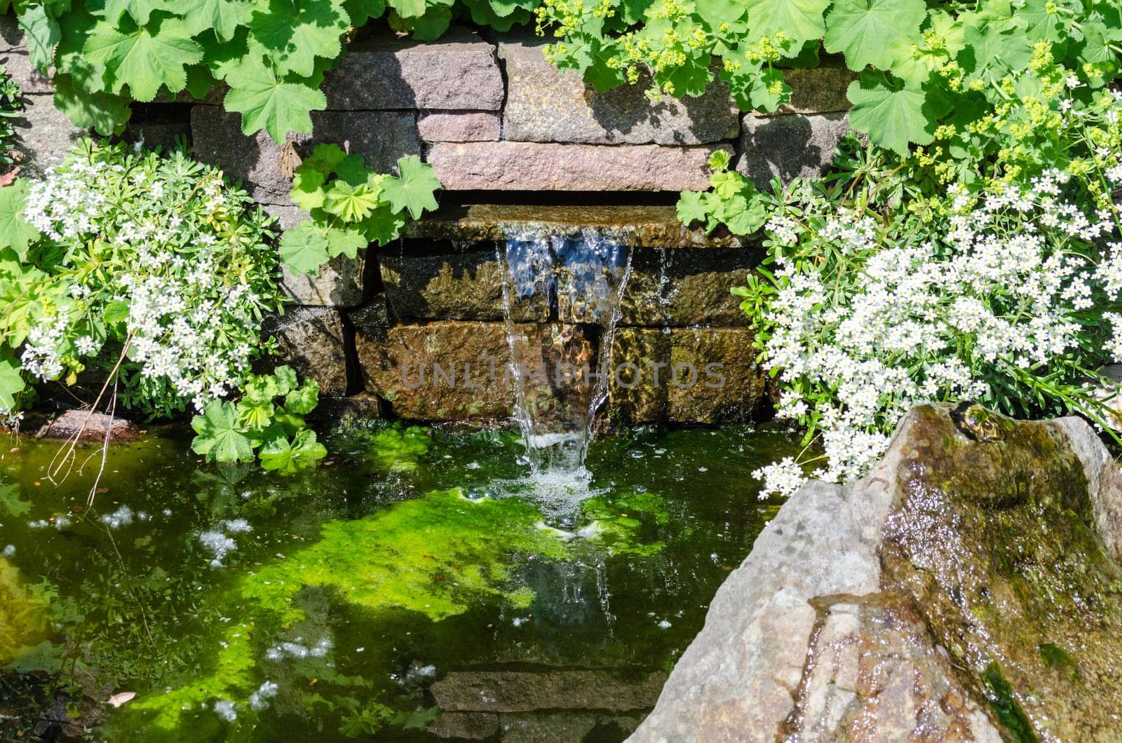 View of a small waterfall and garden pond.