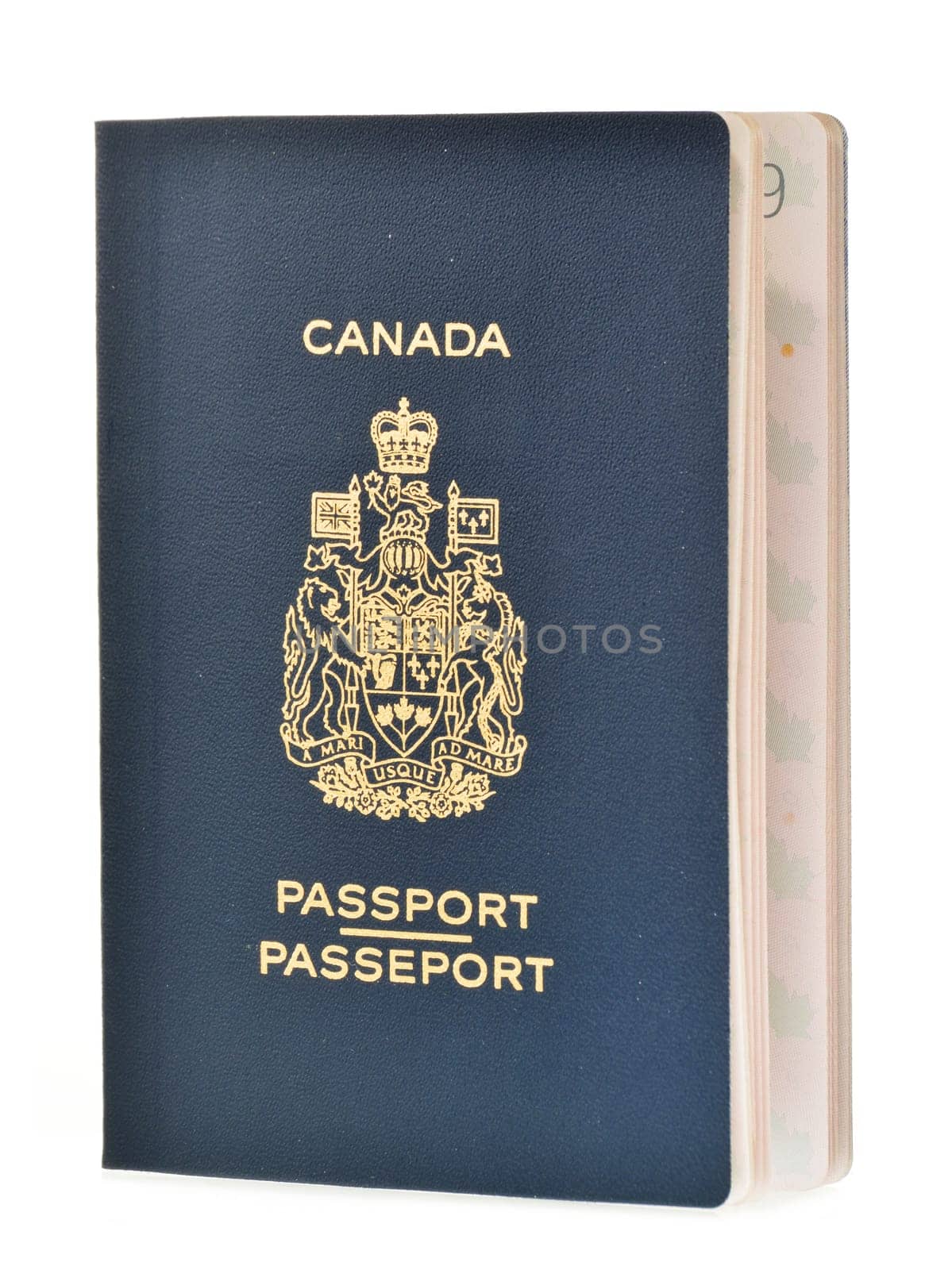 Canadian passport isolated on white