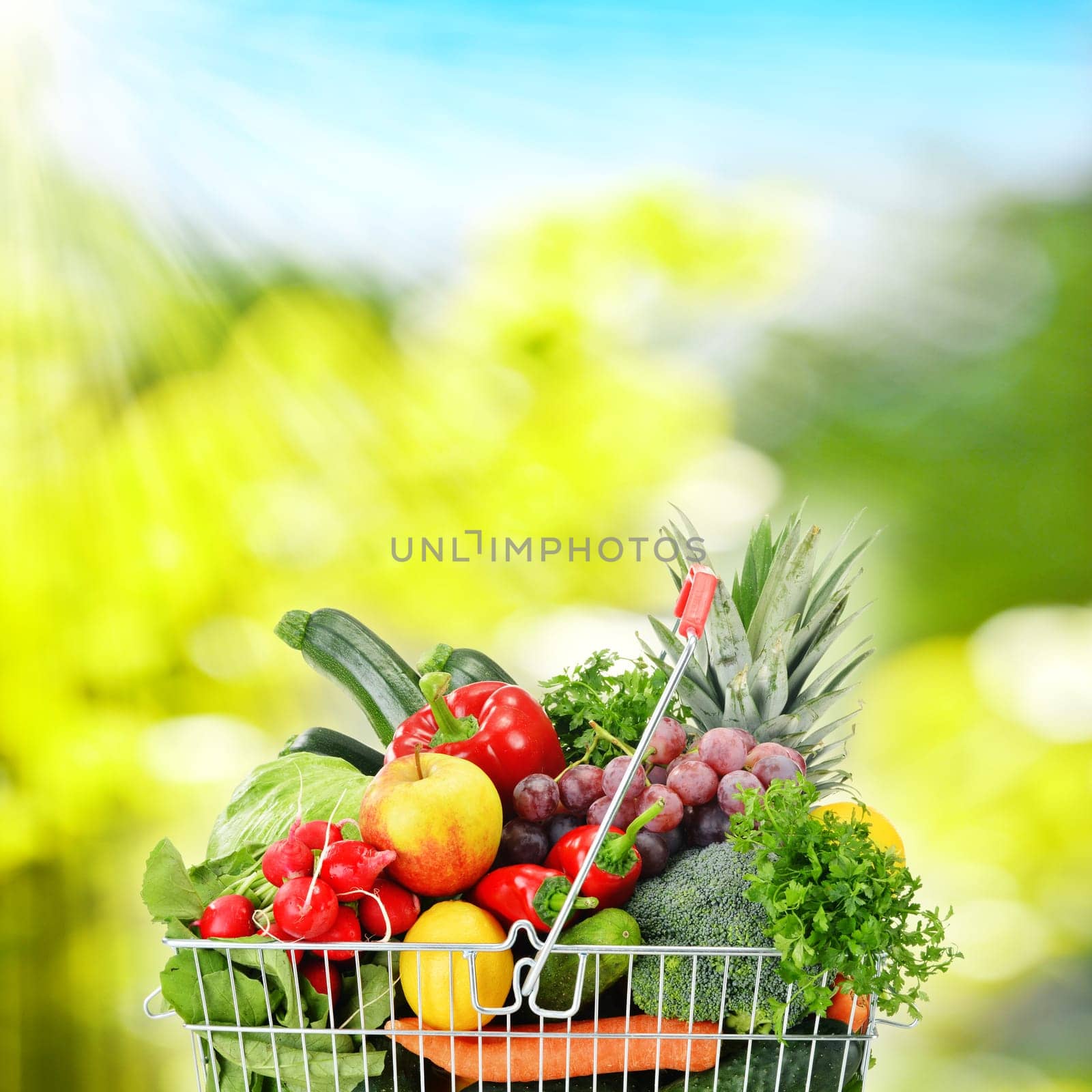 Wire shopping basket with groceries
