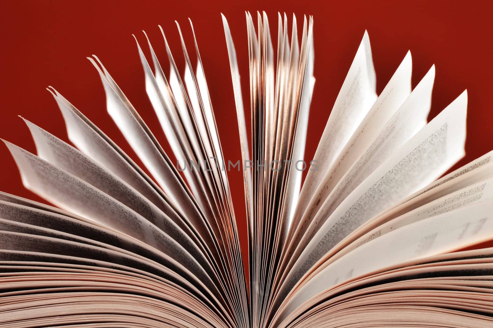 Composition with book on the table