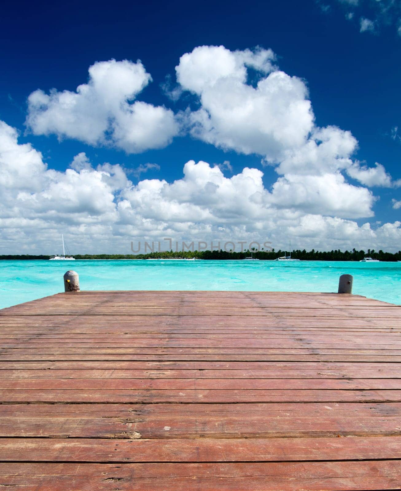 tropical sea under the blue sky