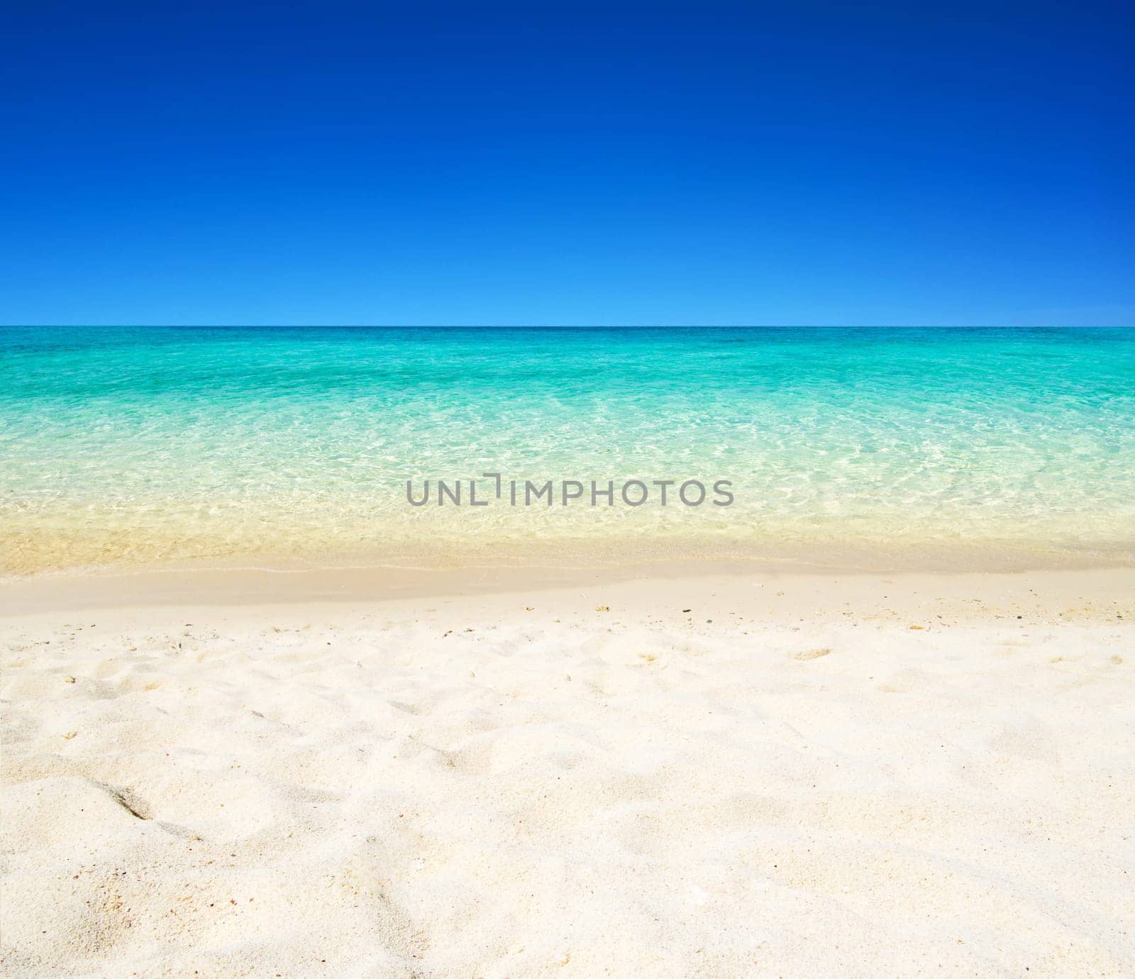 beautiful beach and tropical sea..