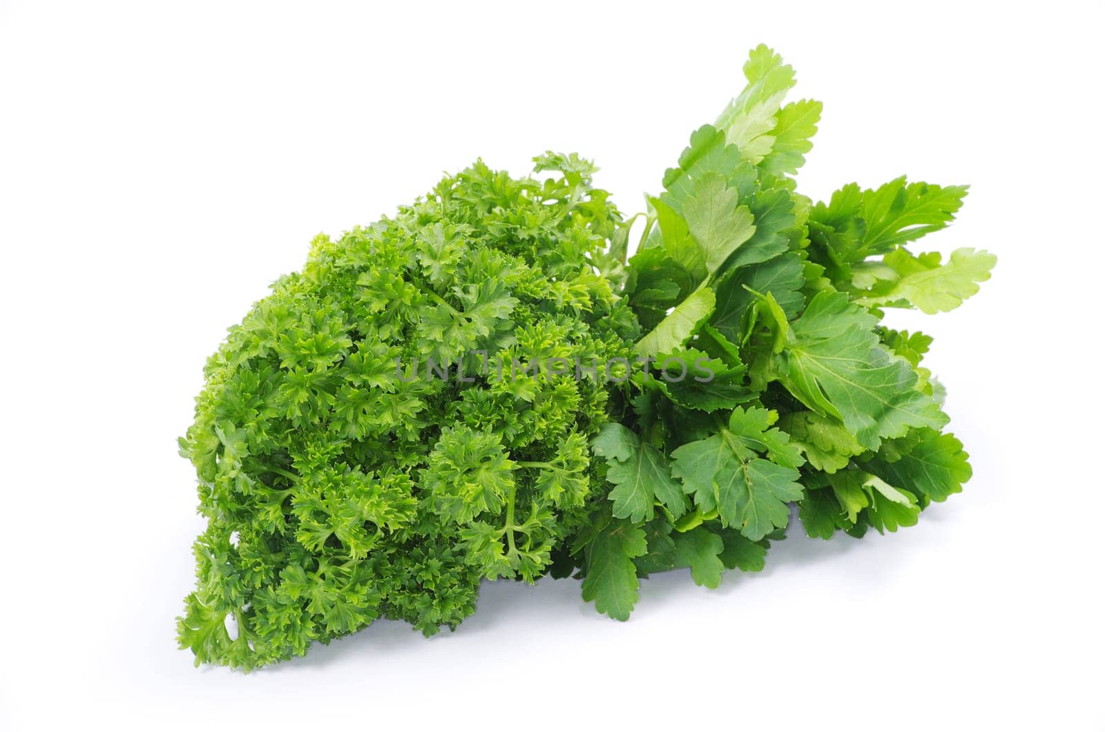 Bunch of fresh green parsley isolated on white background
