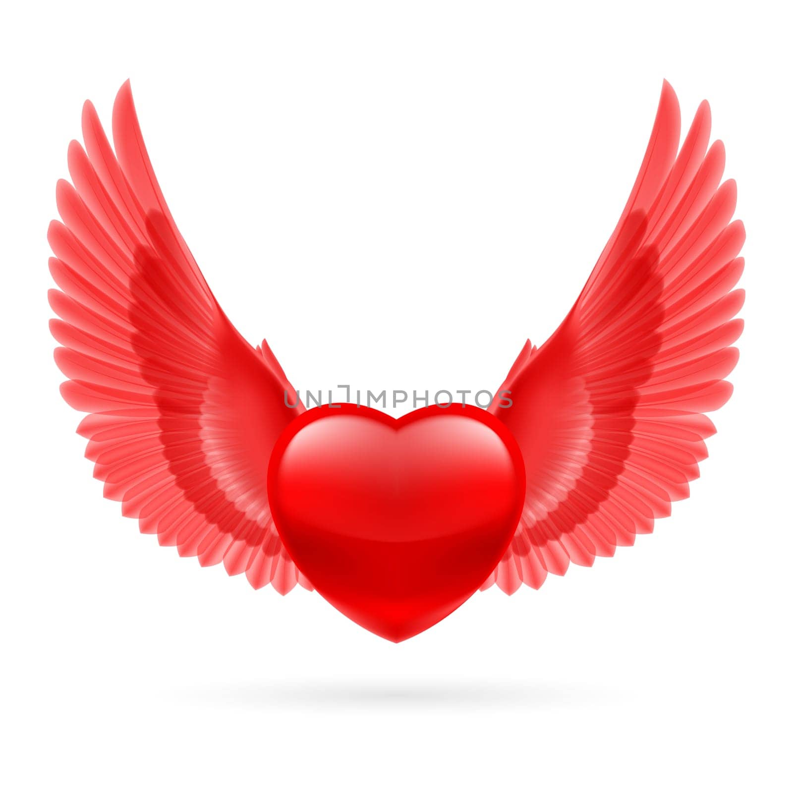 Red heart with bright red raised wings.
