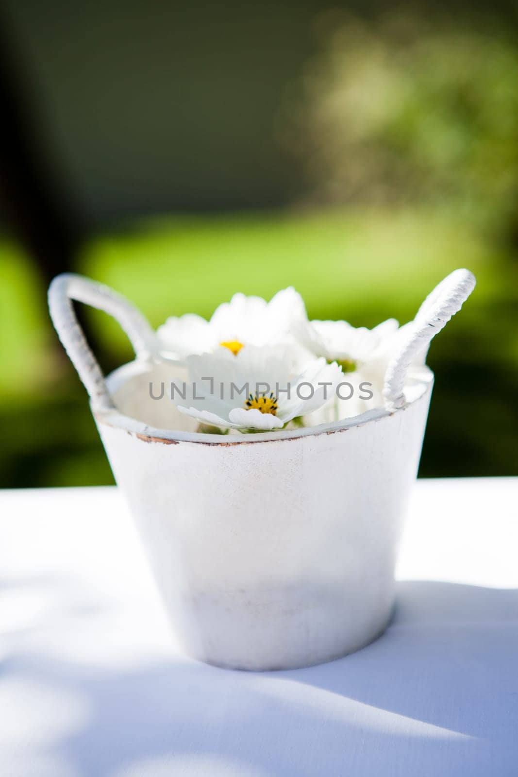 Closeup of decorative white daisy flowers in bucket on table outdoors on sunny day