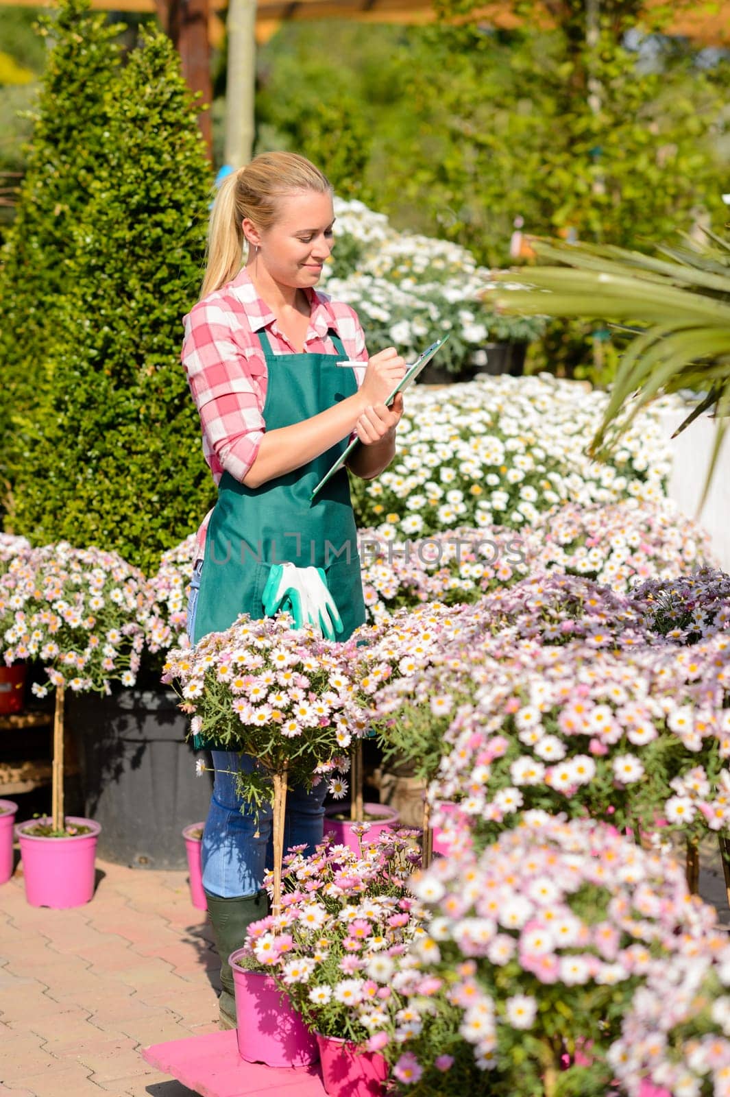 Garden center woman write notes by daisy potted flowers sunny