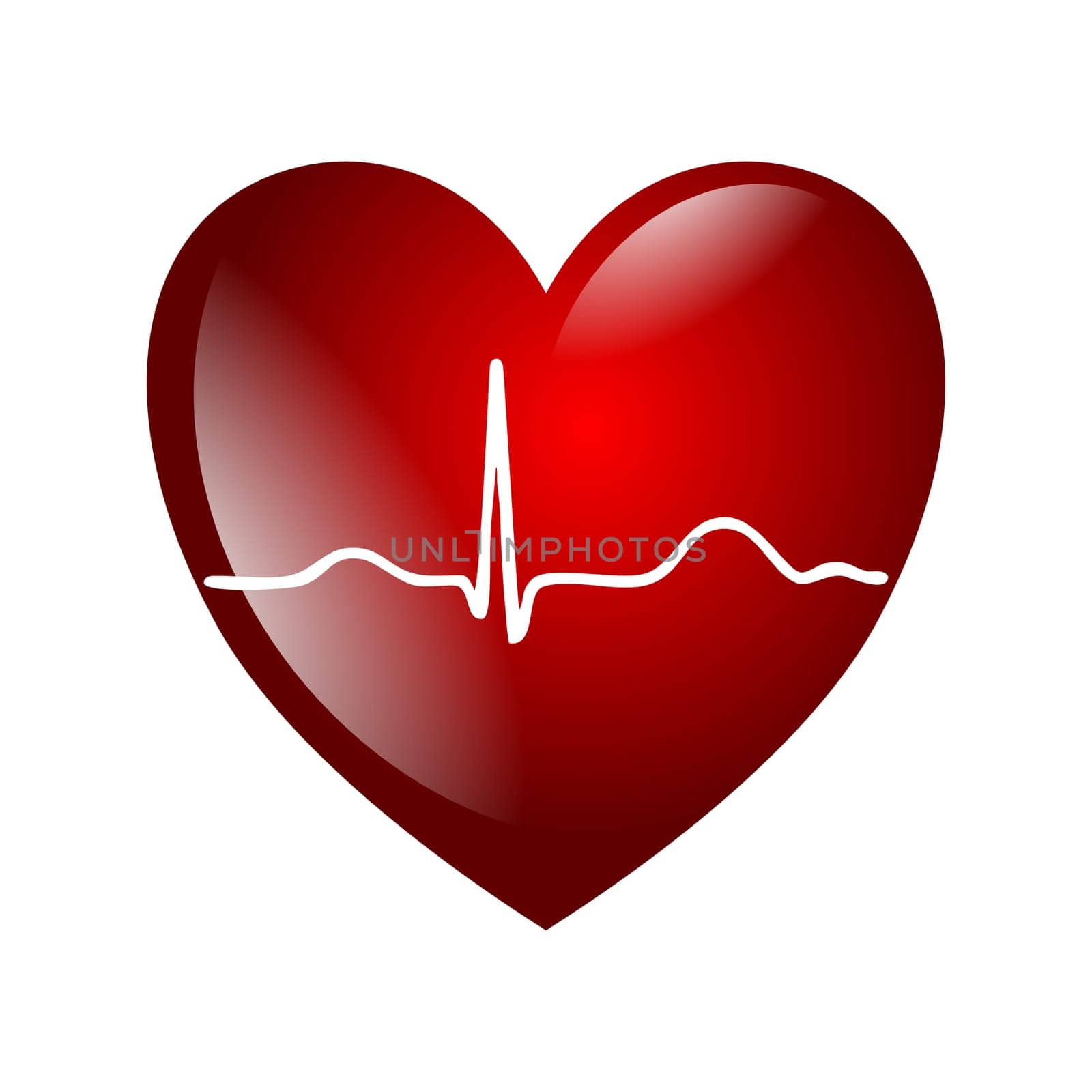 Heart ECG