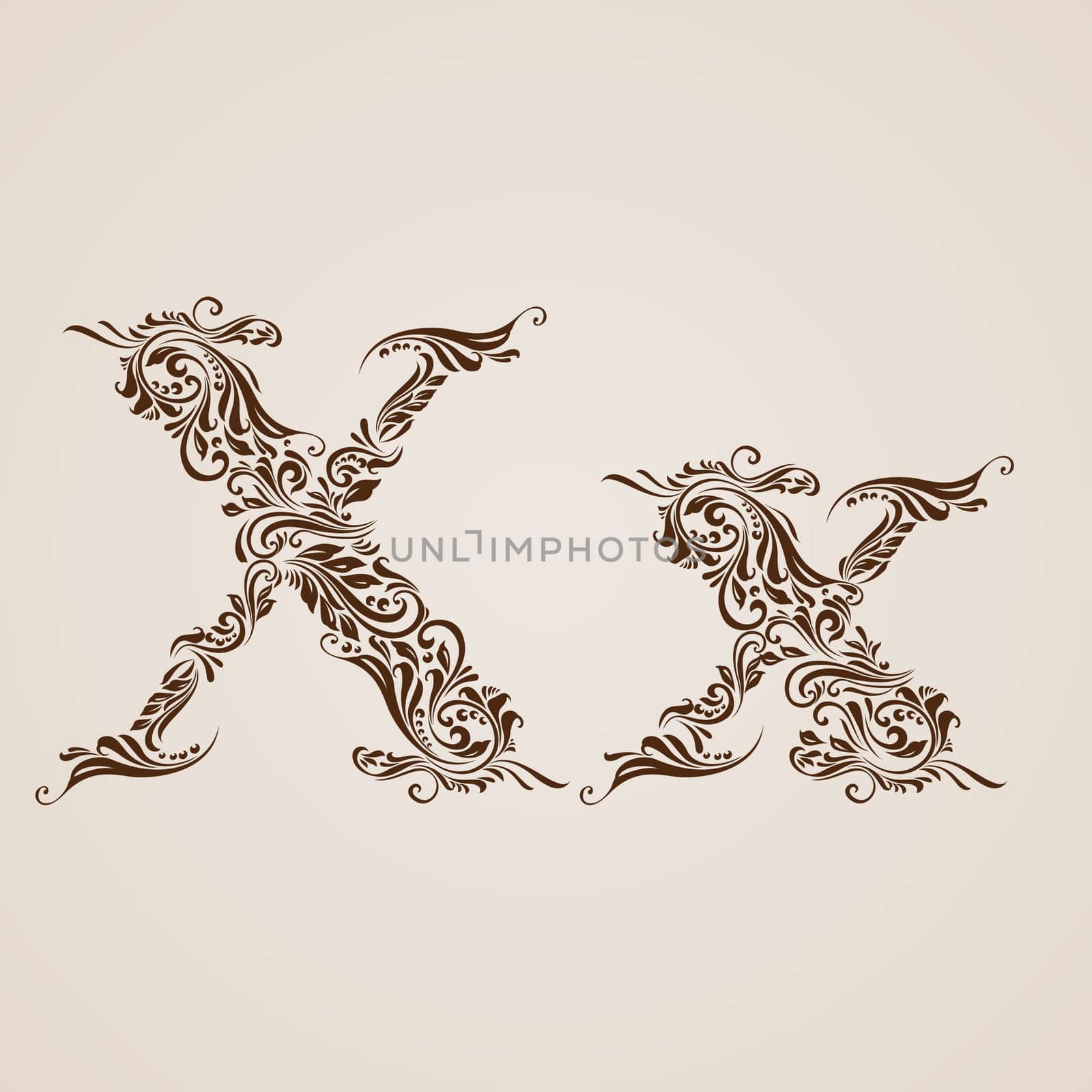 Handsomely decorated letter x in upper and lower case.