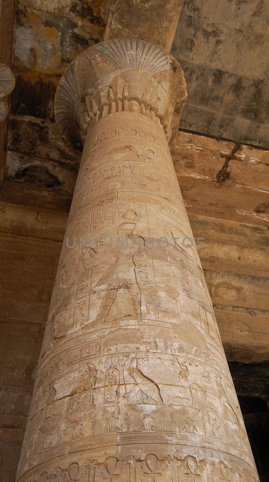 Egyptian column carving in Edfu temple, Egypt