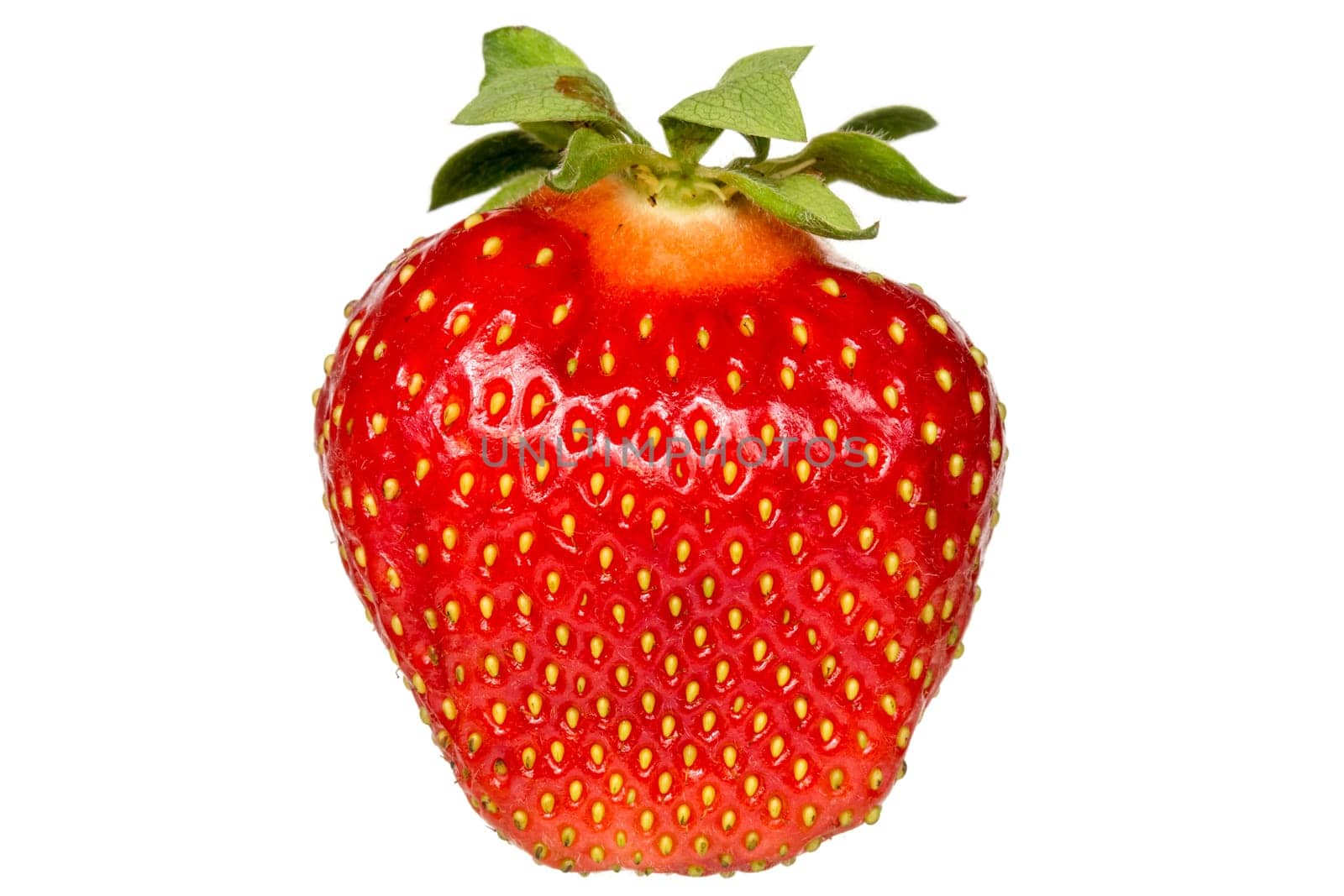 Red berry strawberry isolated on white background