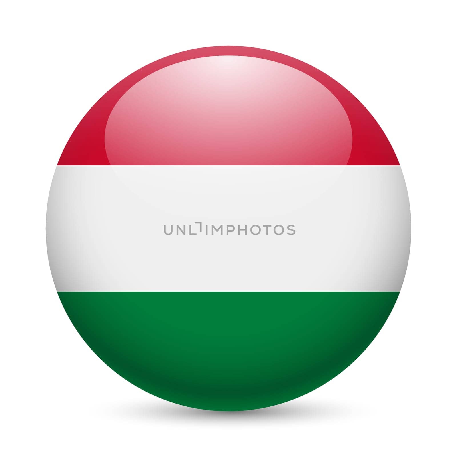 Flag of Hungary as round glossy icon. Button with Hungarian flag