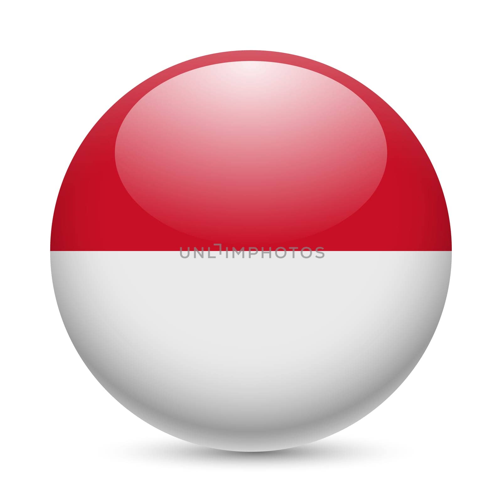 Flag of Monaco as round glossy icon. Button with Monacan flag