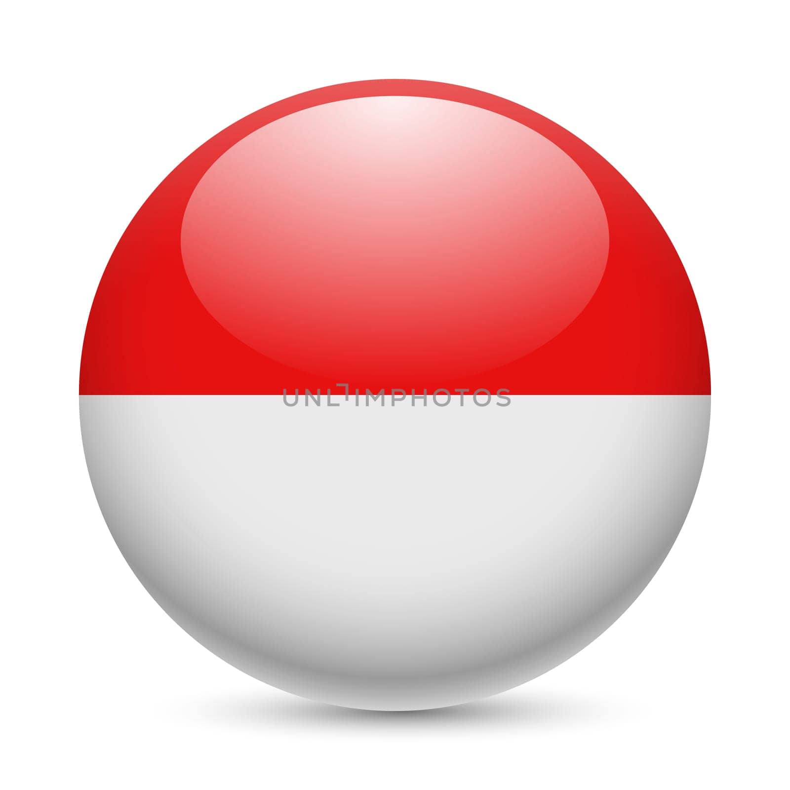Flag of Indonesia as round glossy icon. Button with Indonesian flag
