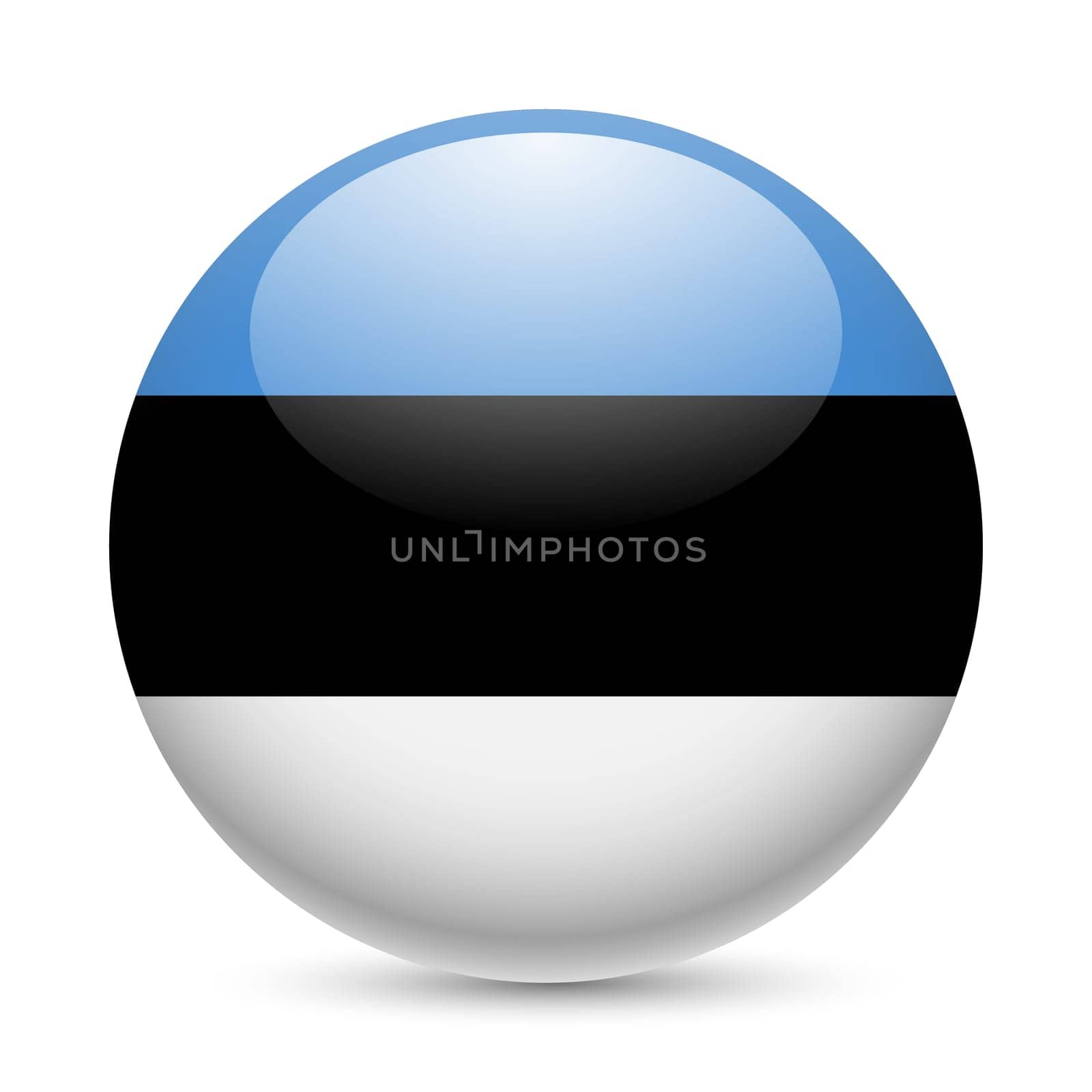 Flag of Estonia as round glossy icon. Button with Estonian flag