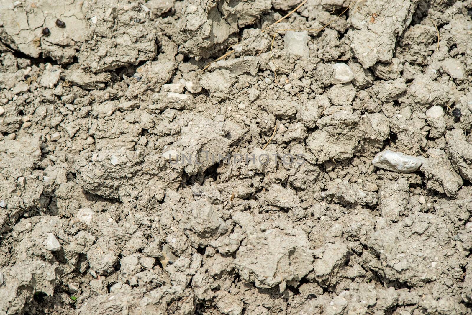 Drought on a field