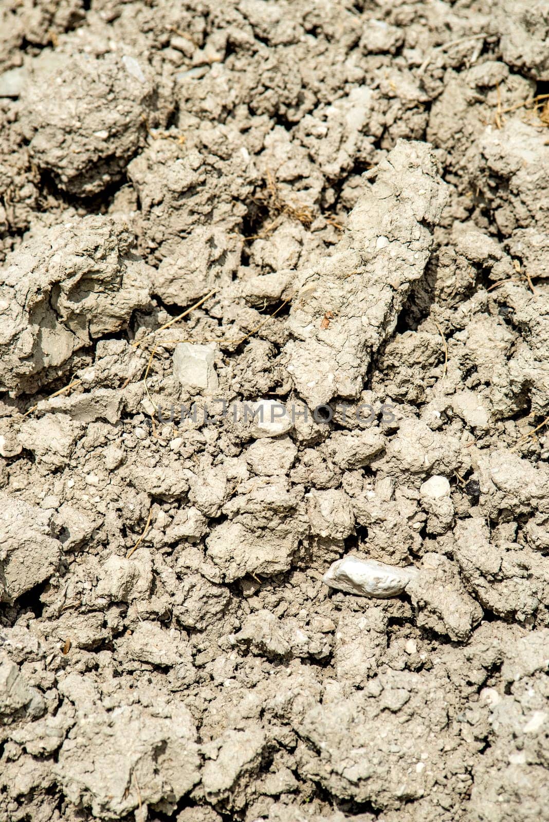 Drought on a field