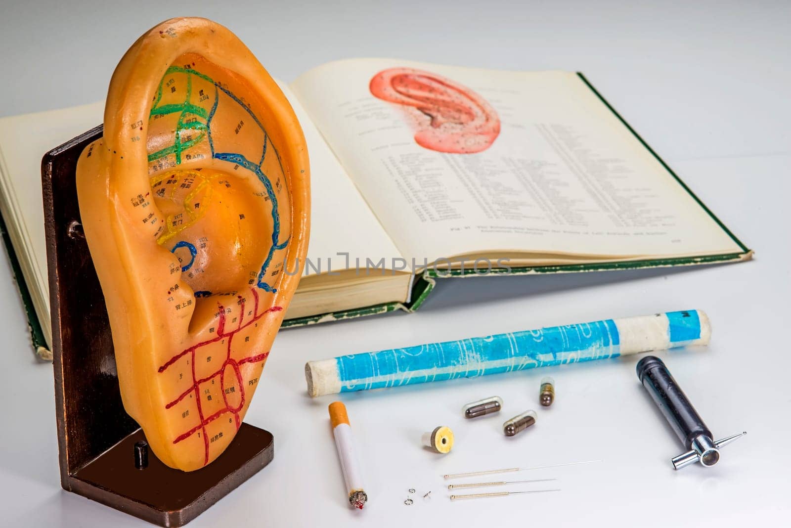 ear model with textbook,acupuncture needles and