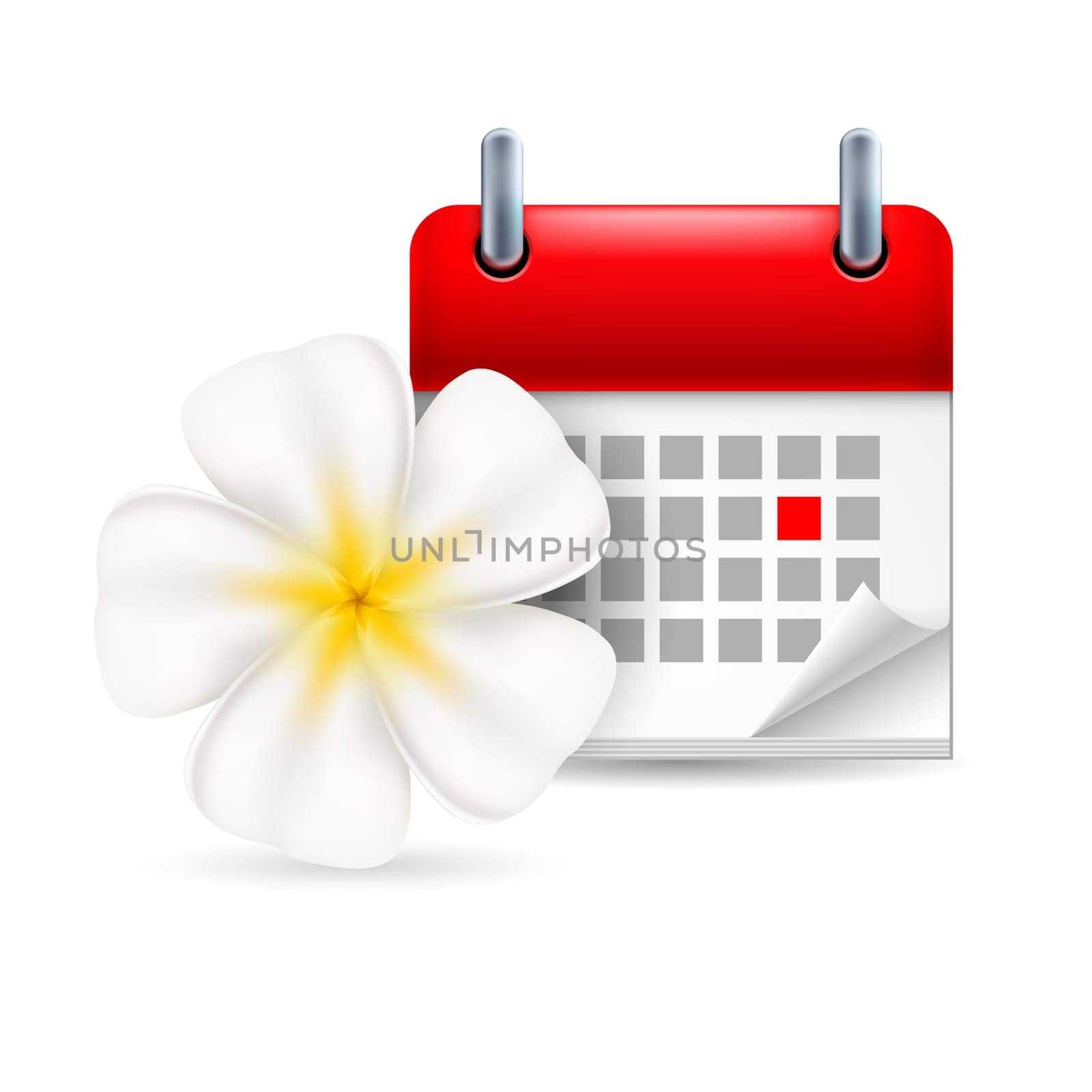 Page calendar with a marked red-letter day of the week. Near to flower