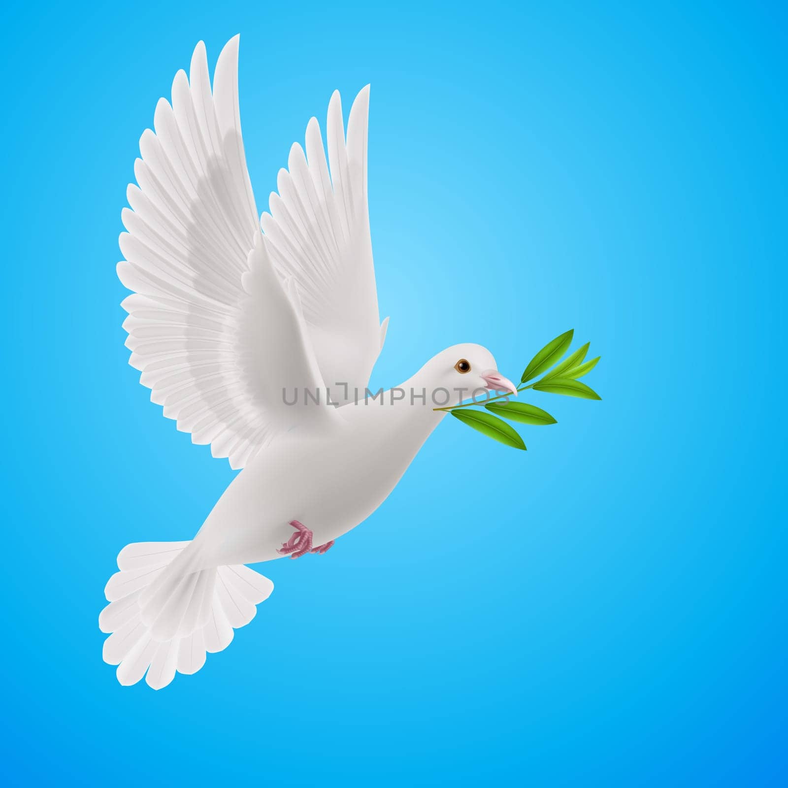 Dove of peace flying with a green twig after flood on sky