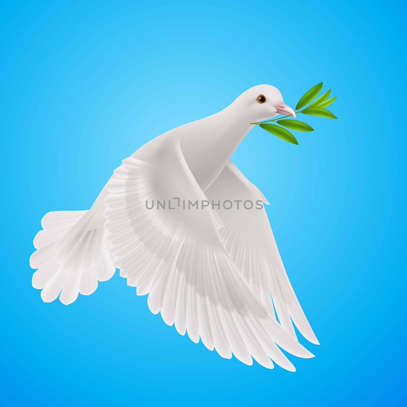 Dove of peace flying with a green twig after flood