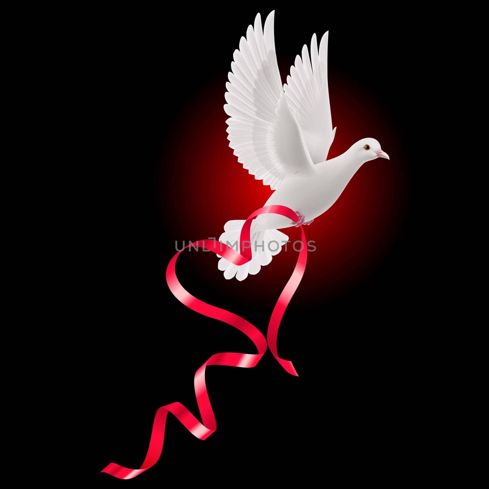 White dove with red ribbon on the black background