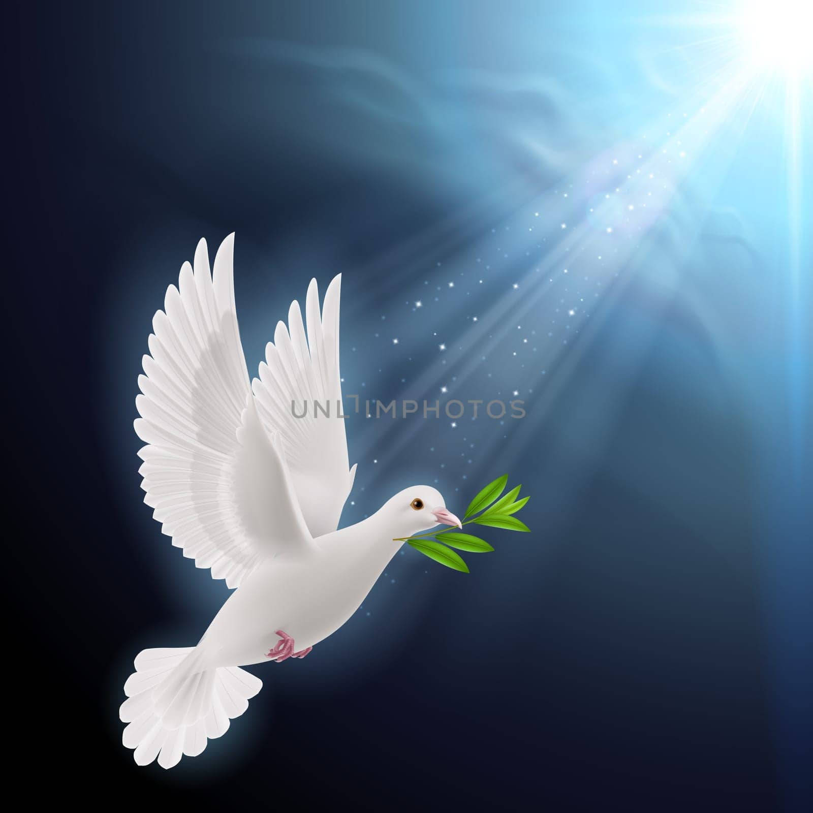 Dove of peace flying with a green twig after flood on a dark background
