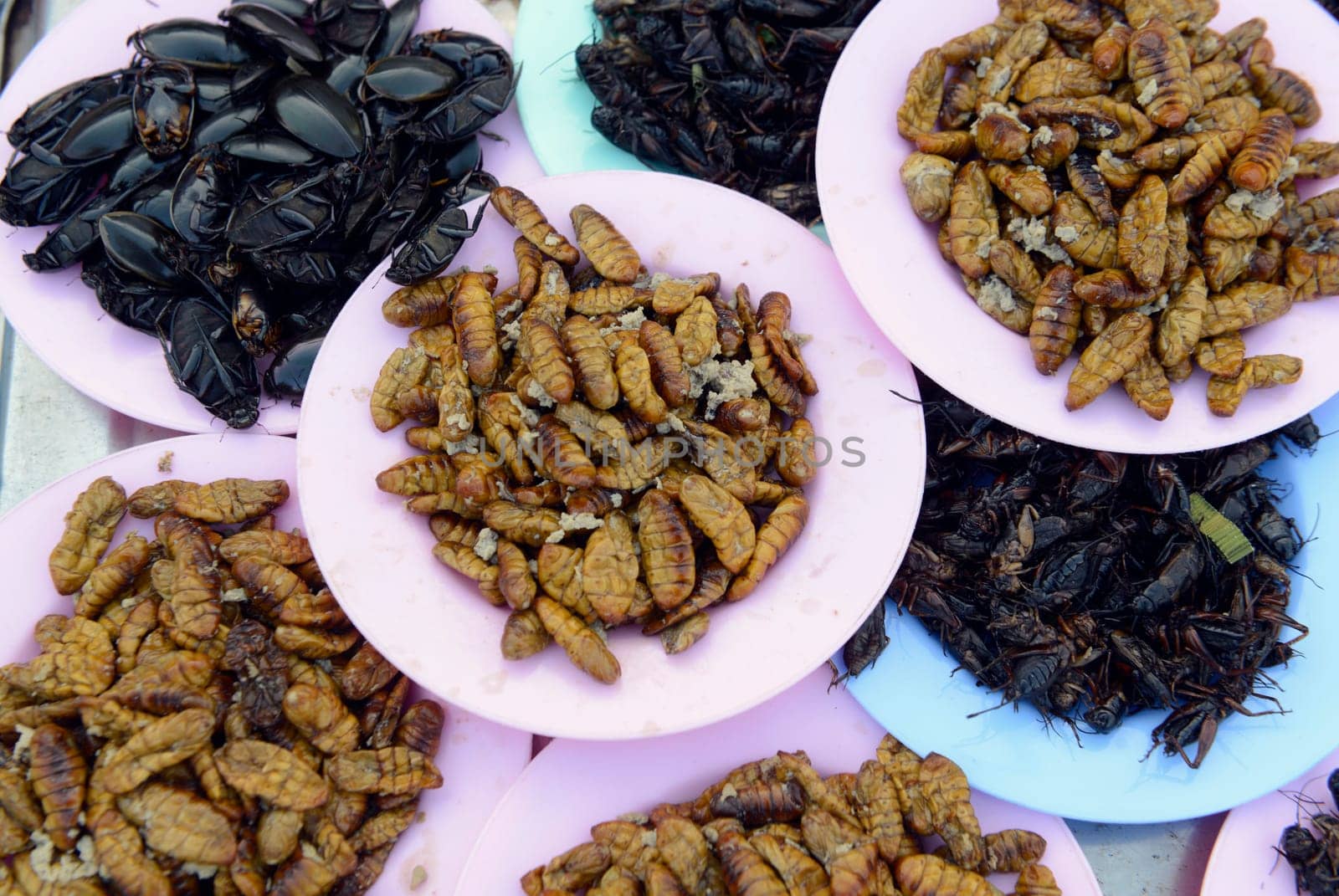 Insects at the market in Amnat Charoen in the Isan in eastern Thailand