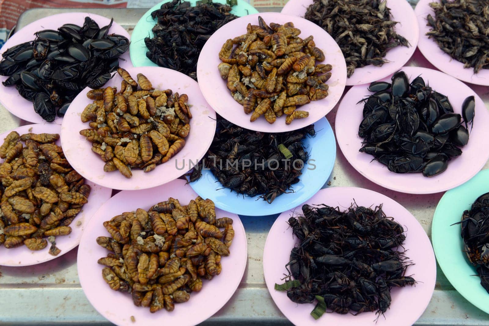 Insects at the market in Amnat Charoen in the Isan in eastern Thailand