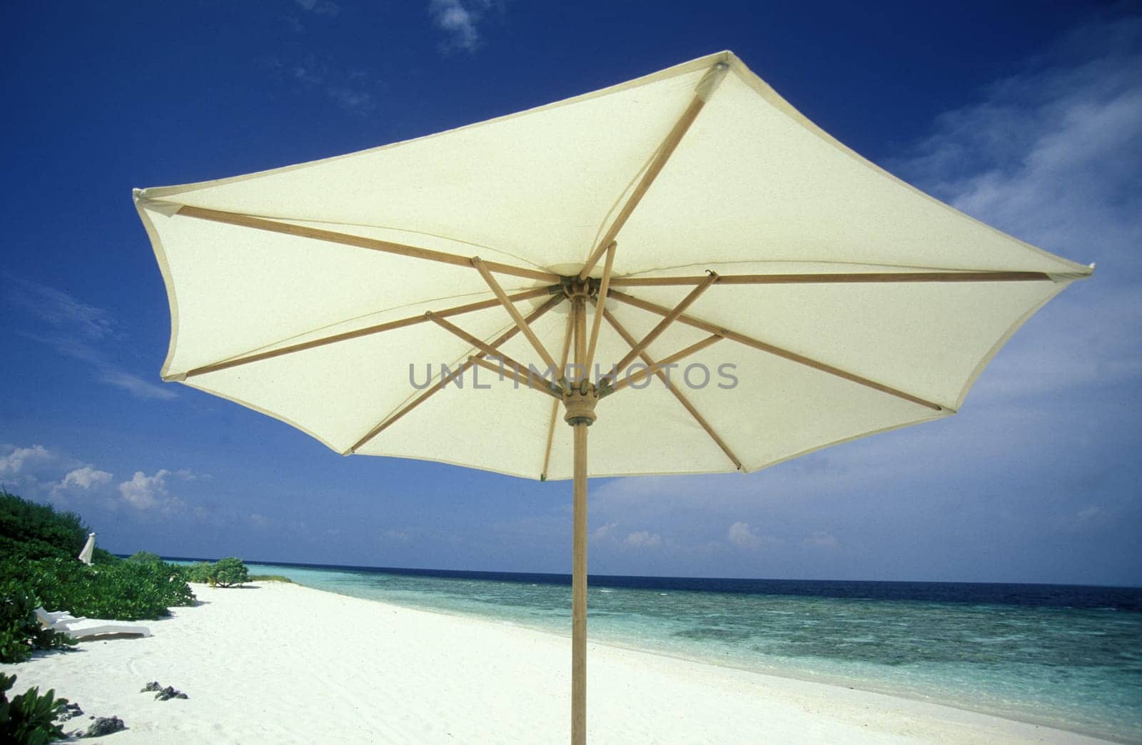 .The dream beach with palm trees and white sand on the island of Velavaru in the Southmale Atoll on the islands of the Maldives in the Indian Ocean.
