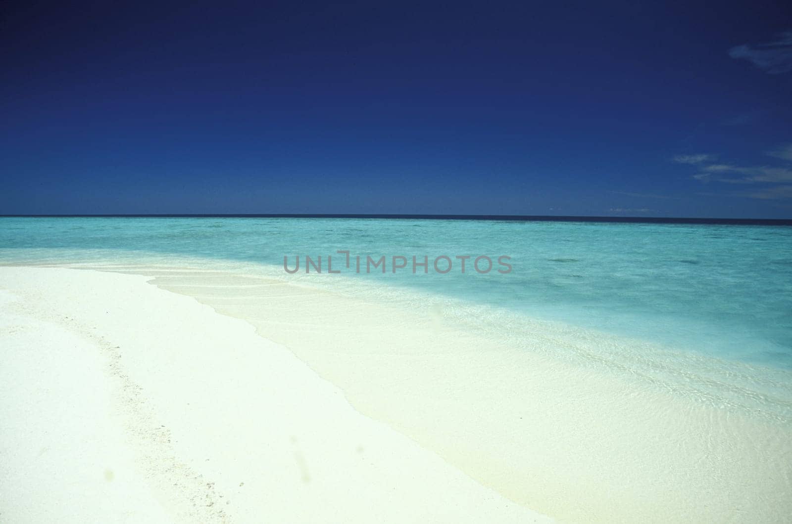 .The dream beach with palm trees and white sand on the island of Velavaru in the Southmale Atoll on the islands of the Maldives in the Indian Ocean.