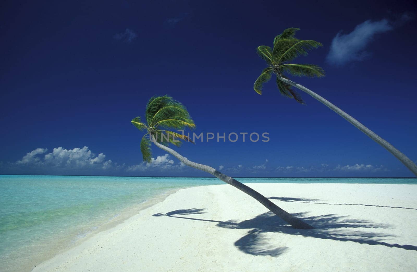 Asia,Indian Ocean,Maldives,. A dream beach on a holiday island of the Maldives archipelago in the Indian Ocean ...