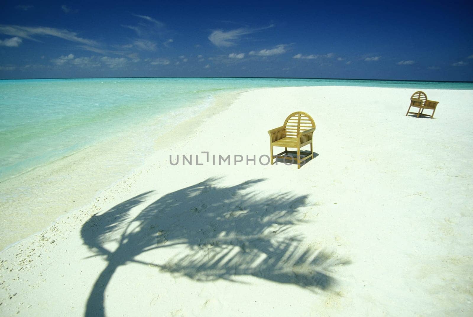 .The dream beach with palm trees and white sand on the island of Velavaru in the Southmale Atoll on the islands of the Maldives in the Indian Ocean.