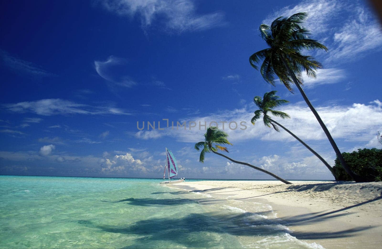 .The dream beach with palm trees and white sand on the island of Velavaru in the Southmale Atoll on the islands of the Maldives in the Indian Ocean.